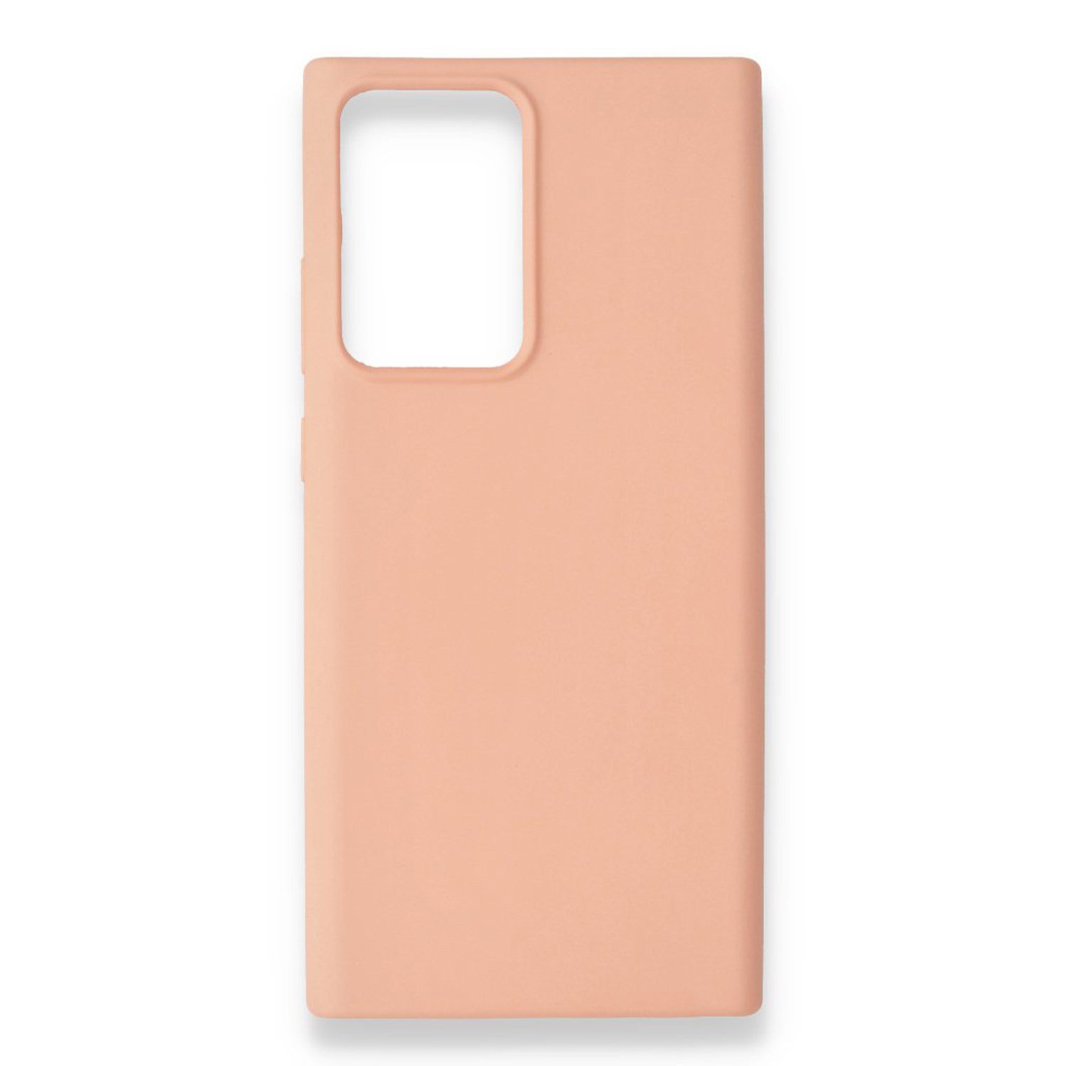 Nettech Samsung Galaxy Note 20 Ultra Uyumlu Nano Arka Koruma Kılıf NT-82134