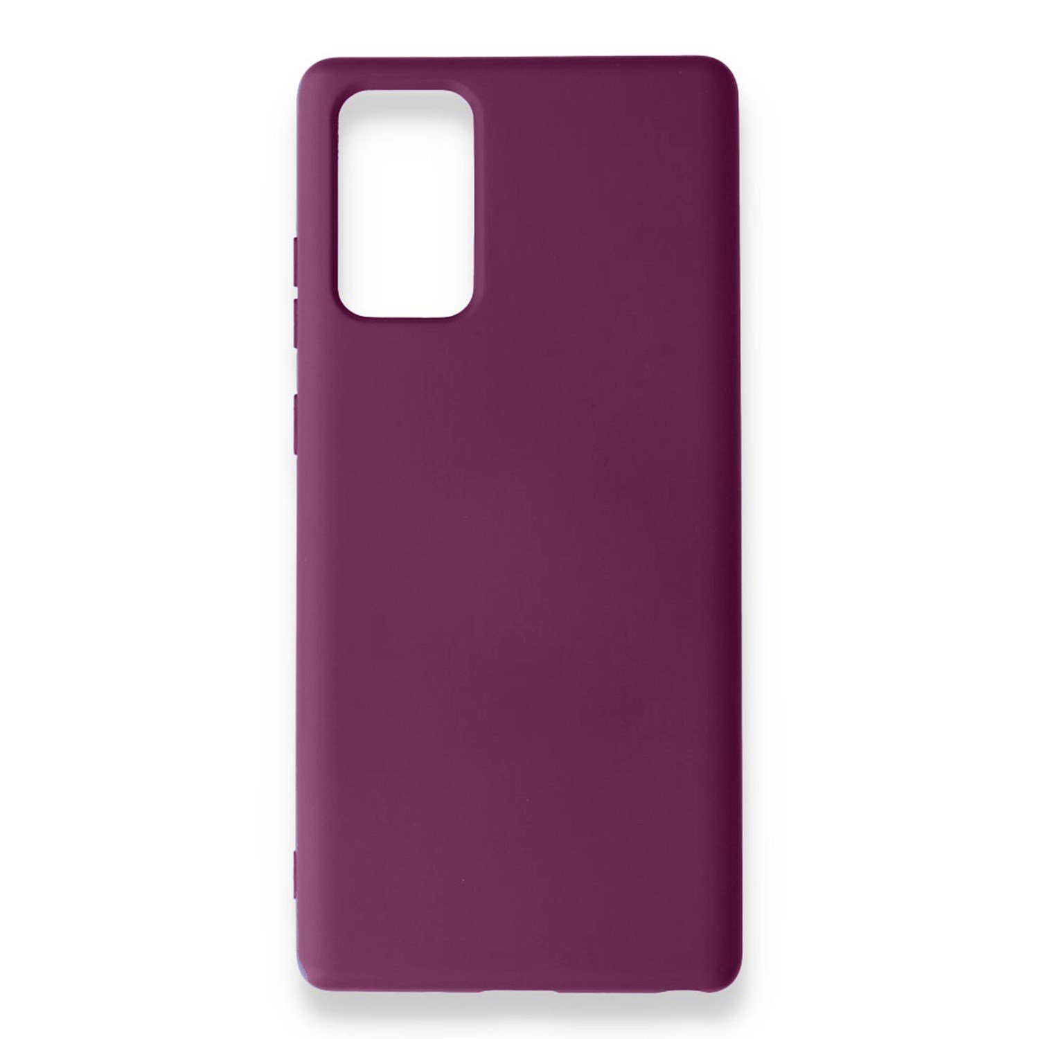 Nettech Samsung Galaxy Note 20 Uyumlu Nano Arka Koruma Kılıf NT-82129