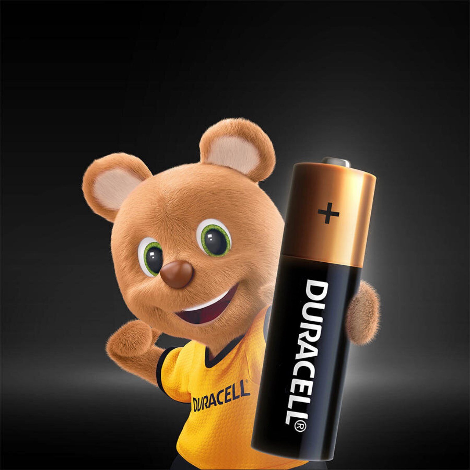 Teknonet Uyumlu Duracell Alkaline AA Kalem Pil 4lü Batarya NT-112798