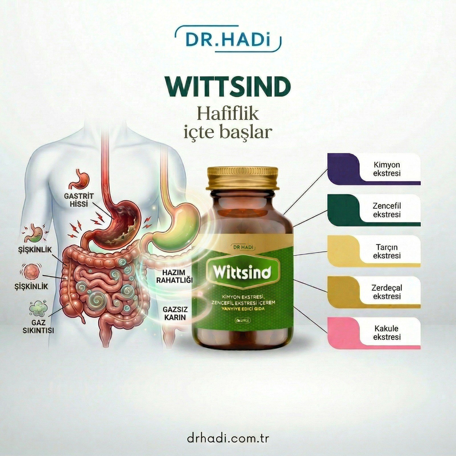 Wittsind 60 Kapsül 