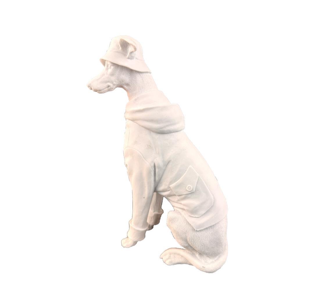 KAPÜŞONLU KÖPEK