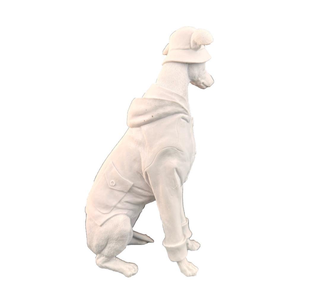 KAPÜŞONLU KÖPEK