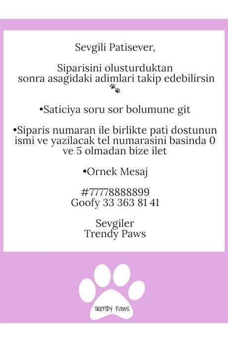 İsme Özel Altın kaplama kedi& köpek isimlik künye Eye