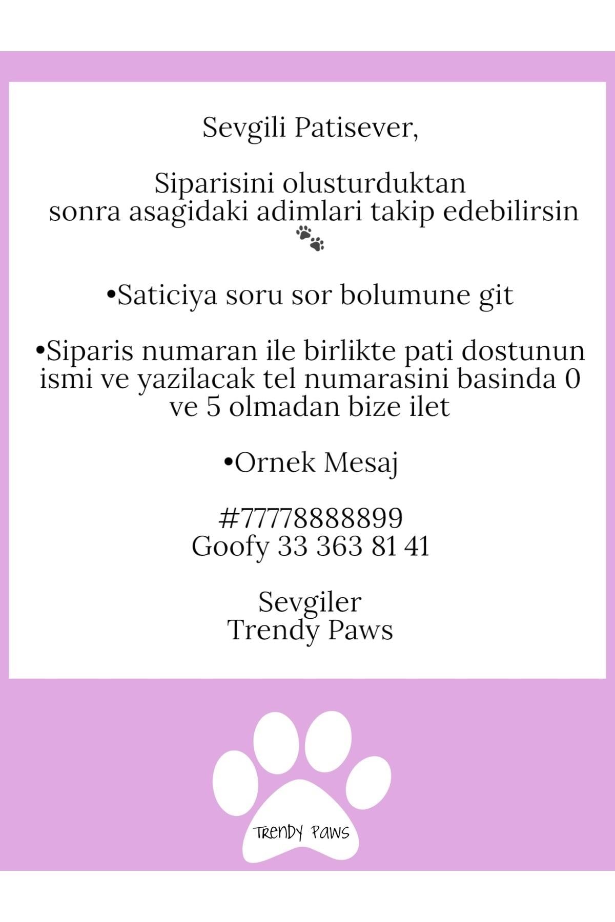 İsme Özel Altın Kaplama Kedi Köpek Isimlik Künye Sea Star