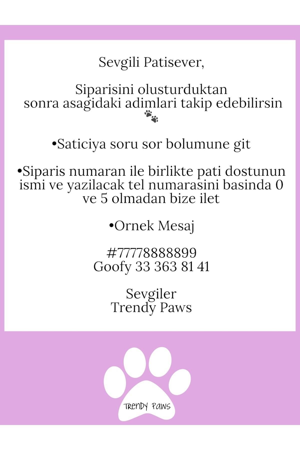 İsme Özel Altın kaplama kedi& köpek isimlik künye Kiraz