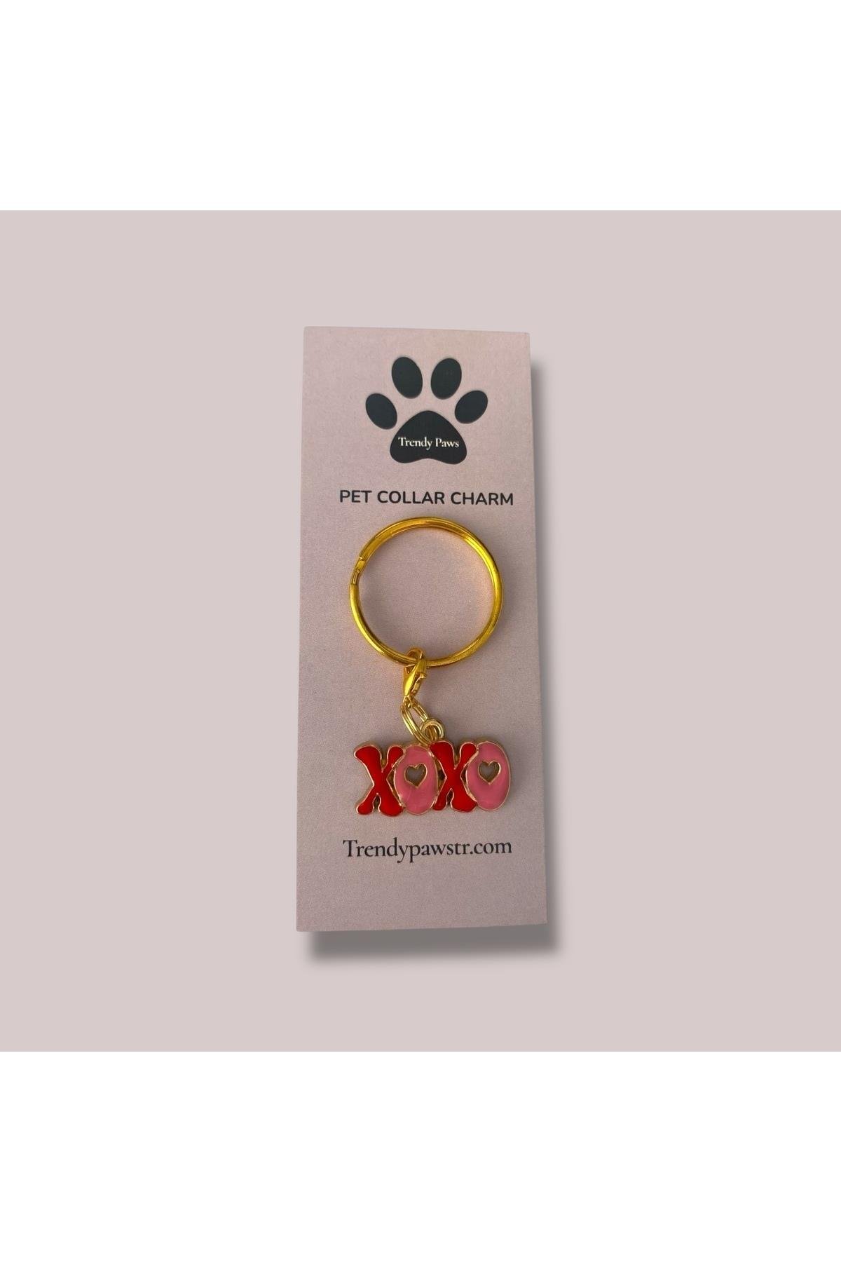 KEDİ & KÖPEK TASMA CHARM /AKSESUARI