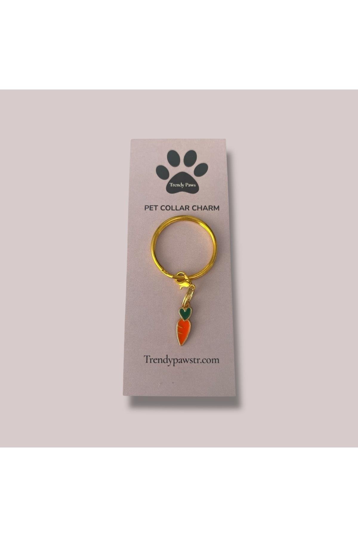 KEDİ & KÖPEK TASMA CHARM /AKSESUARI