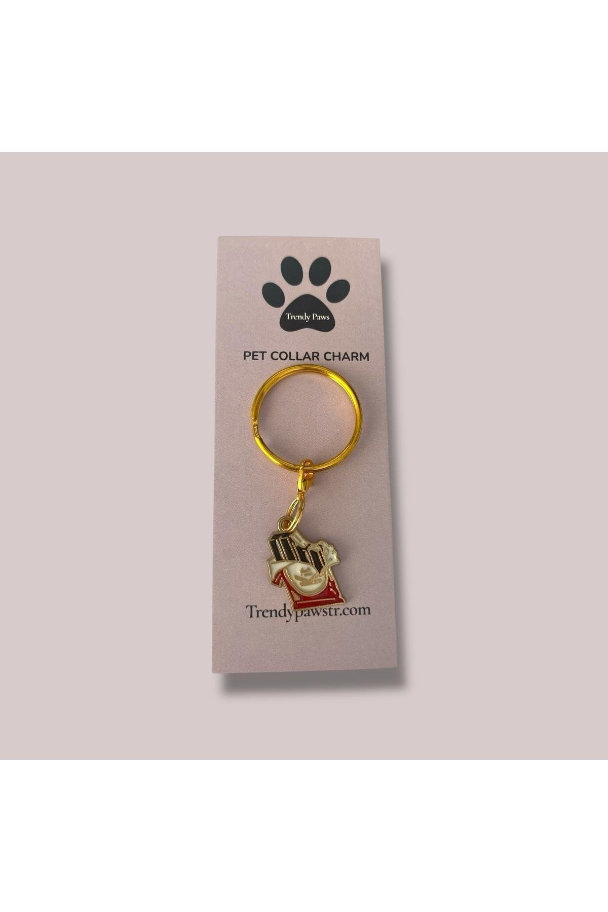 KEDİ & KÖPEK TASMA CHARM /AKSESUARI