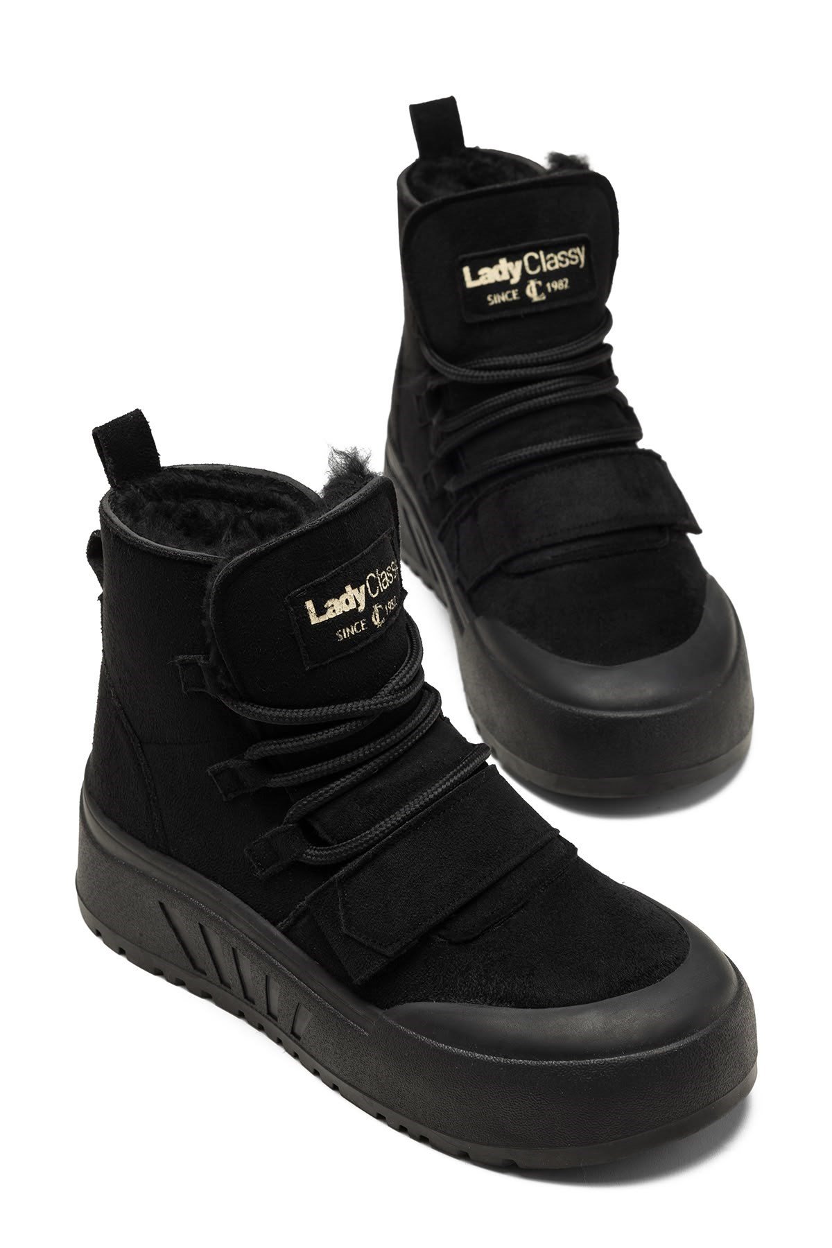 LDYBOOT0000536
