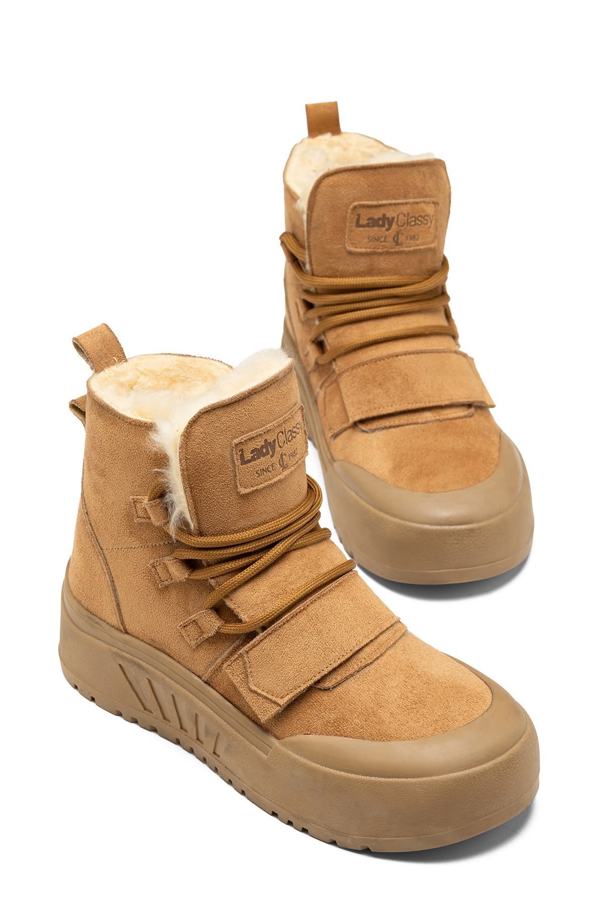 LDYBOOT0000536