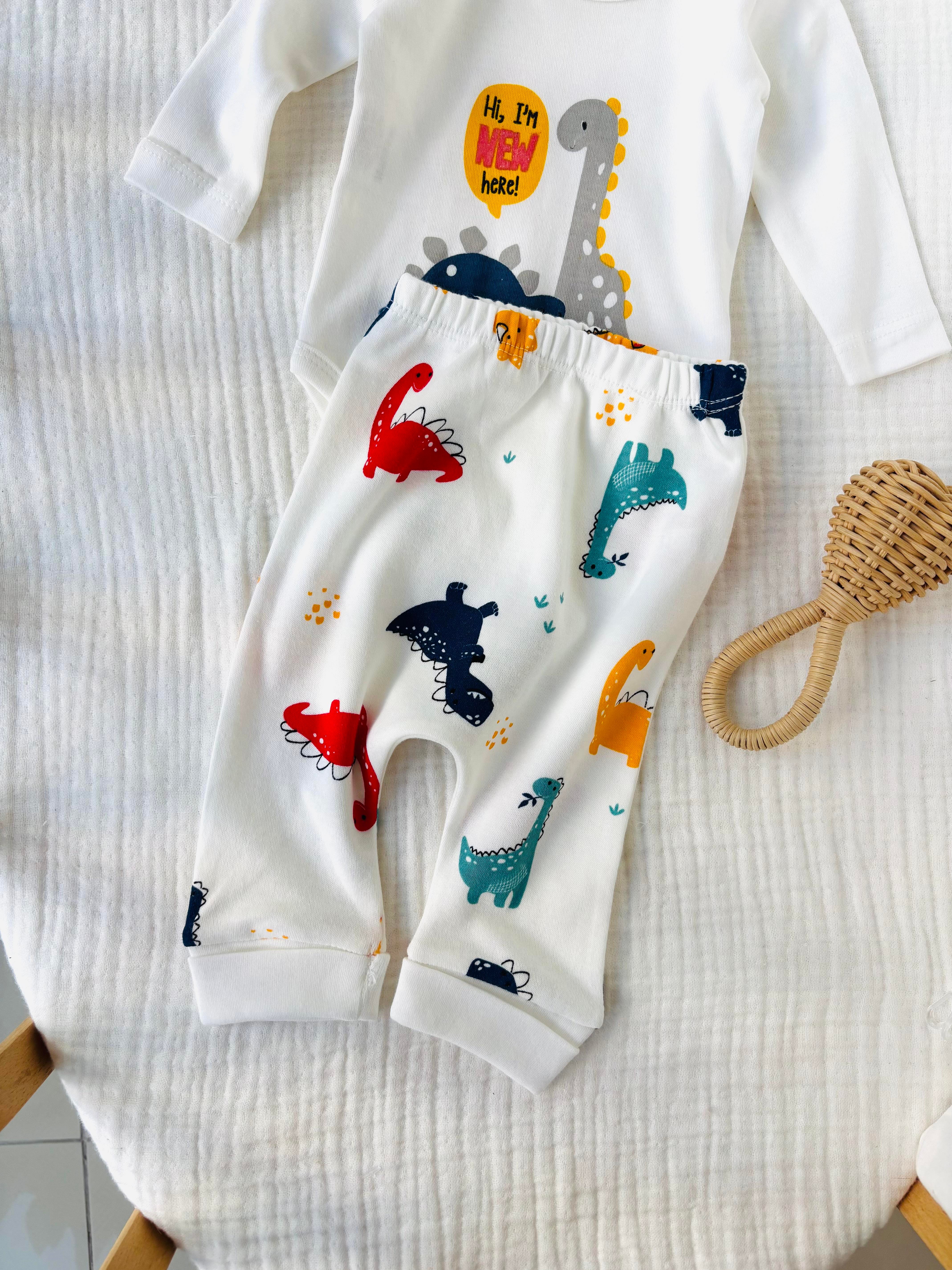 Dinozor Alt Üst Takım