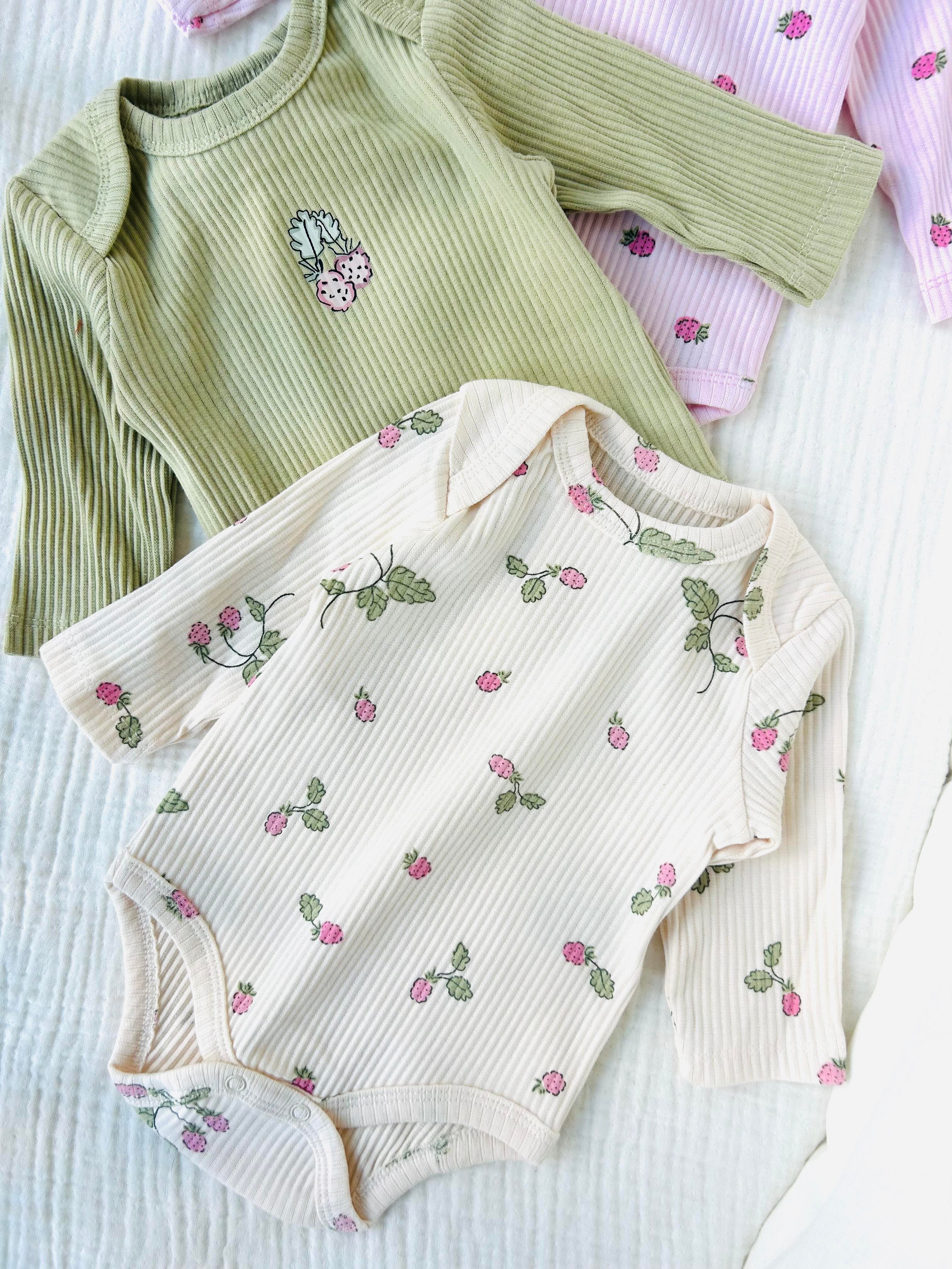 Raspberry 3'lü Zıbın