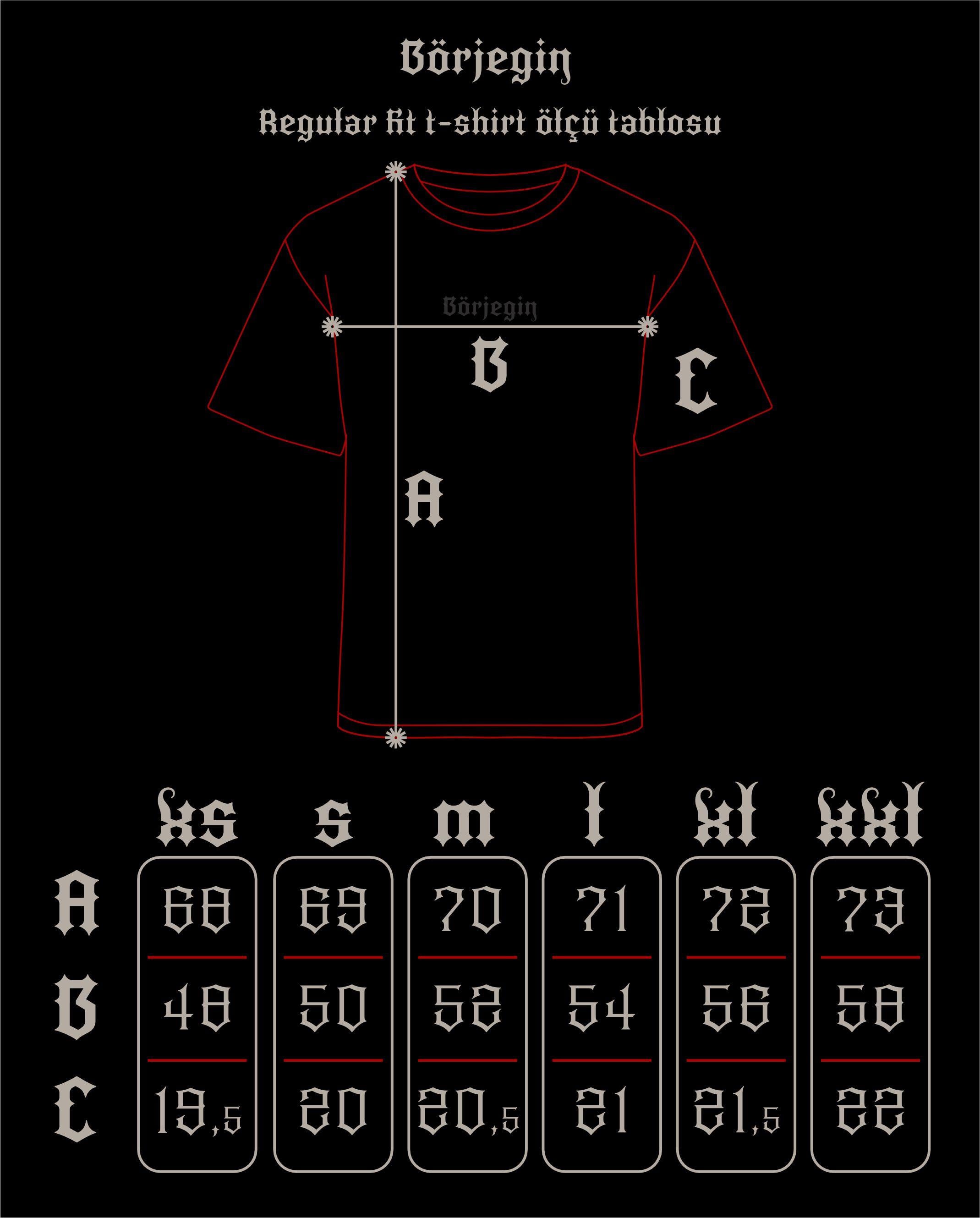 Regular Fit Kam T-Shirt