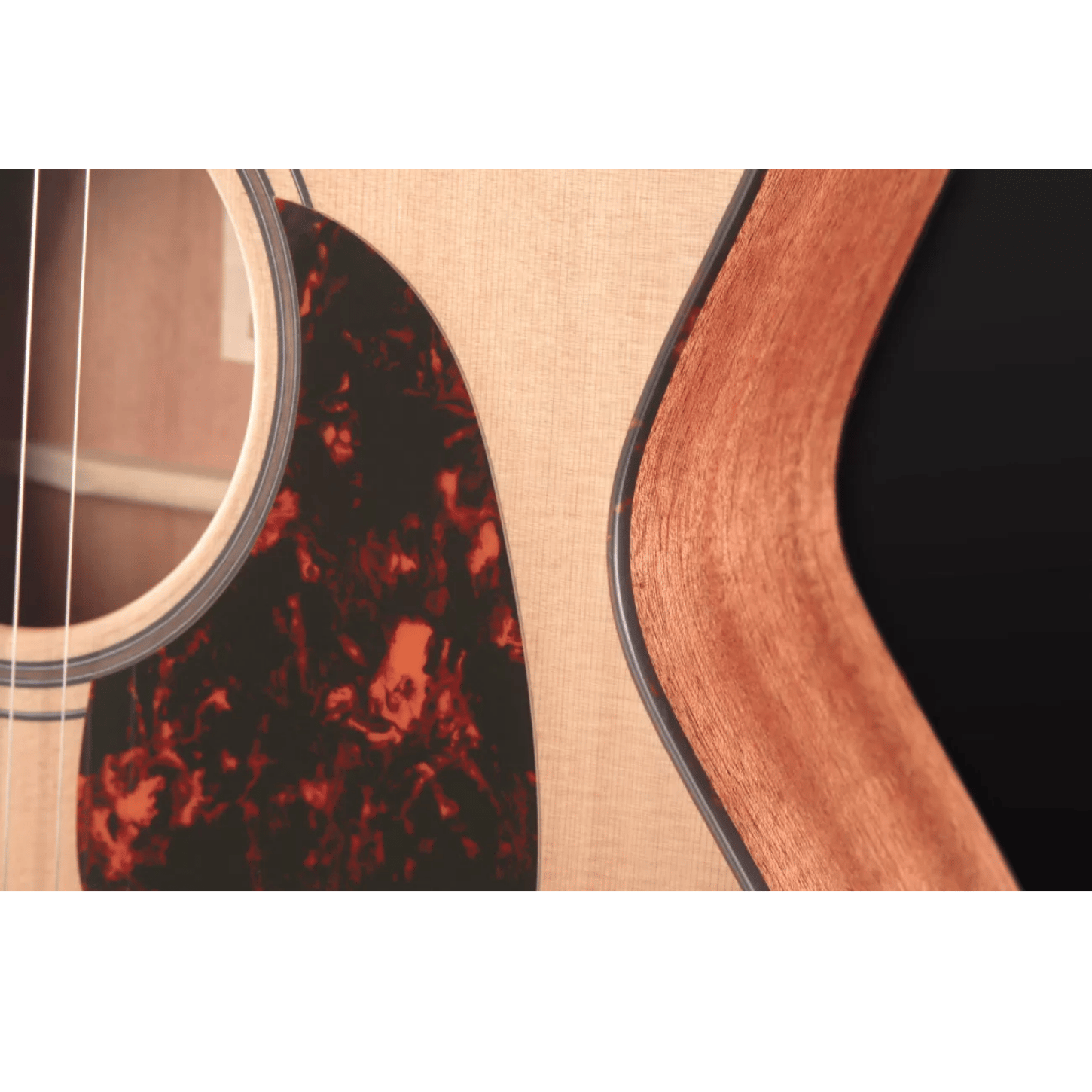 Furch Blue Gc-CM SPE Master's Choice