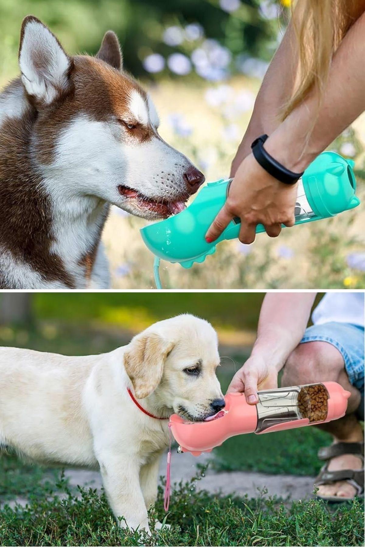 BUFFER® Taşınabilir Hazneli Mama Kaplı ,Kaka Poşetli Kedi,Köpek Suluğu-300ml