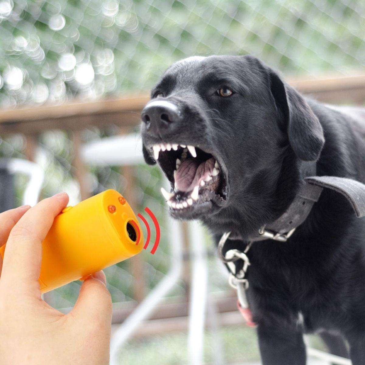 BUFFER® Ultrasonik Köpeksavar Köpek Kovucu Köpek Kornası Eğitim Cihazı