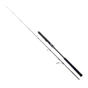 Ryuji SeaWolf-Sp 1.98m 30-150gr Jig Kamışı 2 Parça