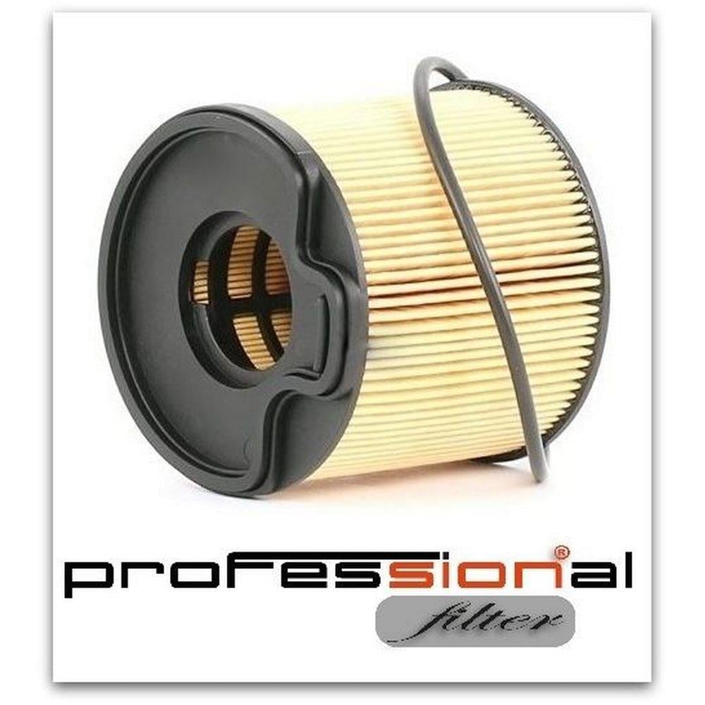 MAZOT FILTRE ELEMANI P206 307 406 C5 P607 JUMPY EXPERT JUMPY P806 XSARA II XSARA PICASSO EVASION DW1