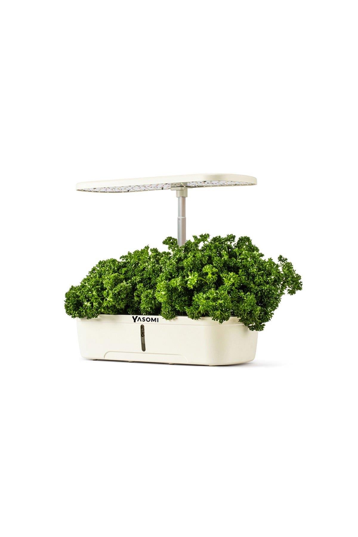 Yasomi S12 Beyaz Smart Planter Akıllı Ev Bahçesi 12 Li ( Türkiye Garantili )