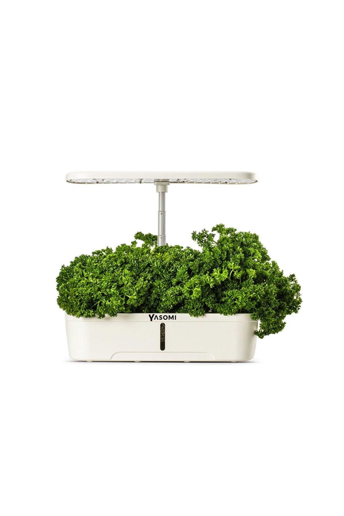 Yasomi S12 Beyaz Smart Planter Akıllı Ev Bahçesi 12 Li ( Türkiye Garantili )