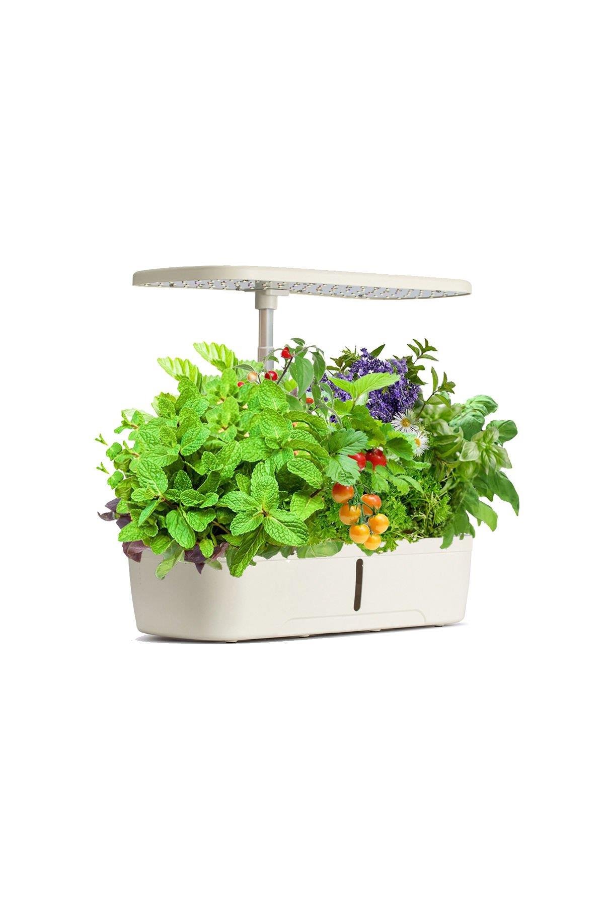 Yasomi S12 Beyaz Smart Planter Akıllı Ev Bahçesi 12 Li ( Türkiye Garantili )
