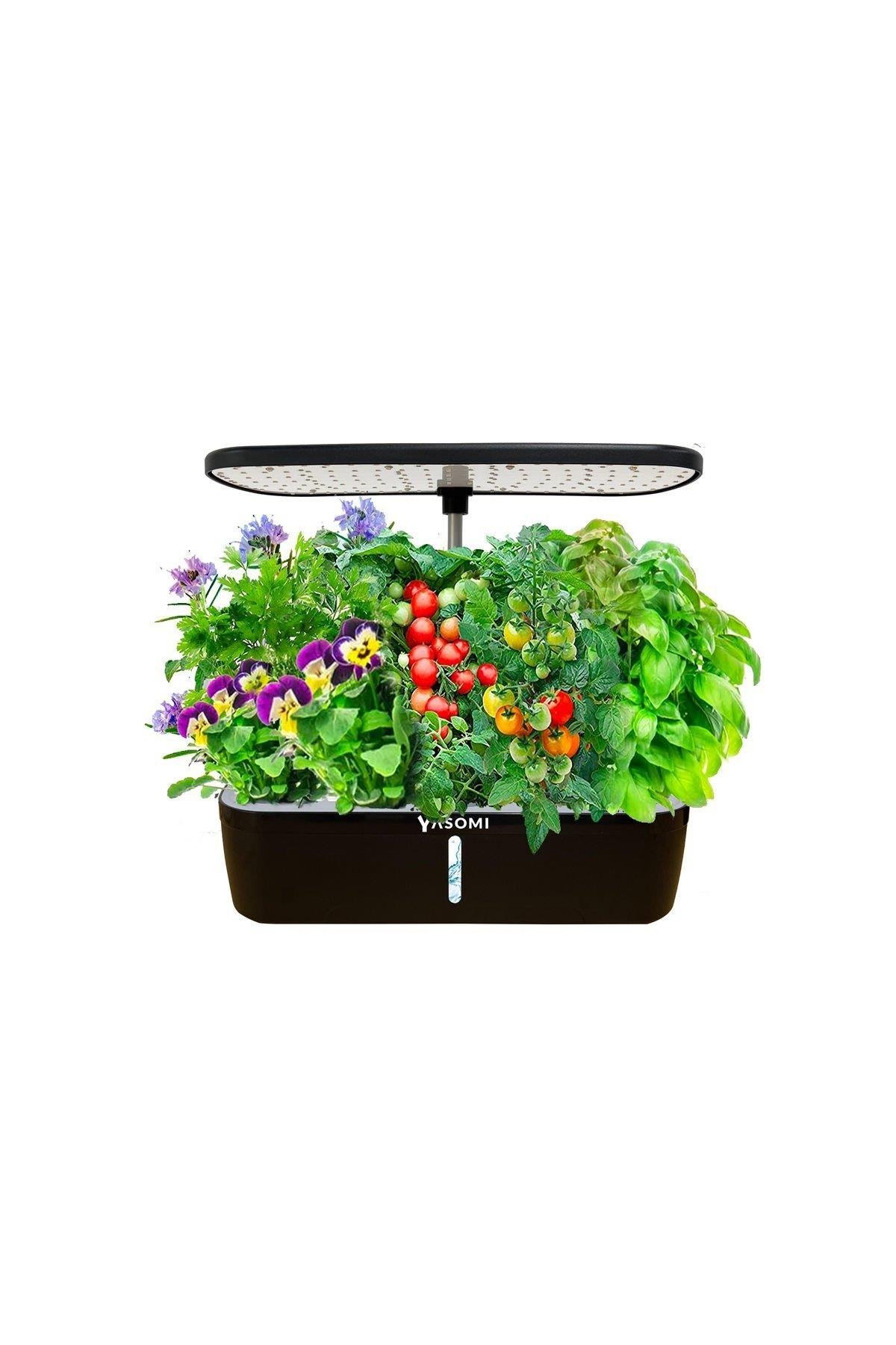 Yasomi S12 Siyah Smart Planter Akıllı Ev Bahçesi 12 Li ( Türkiye Garantili )