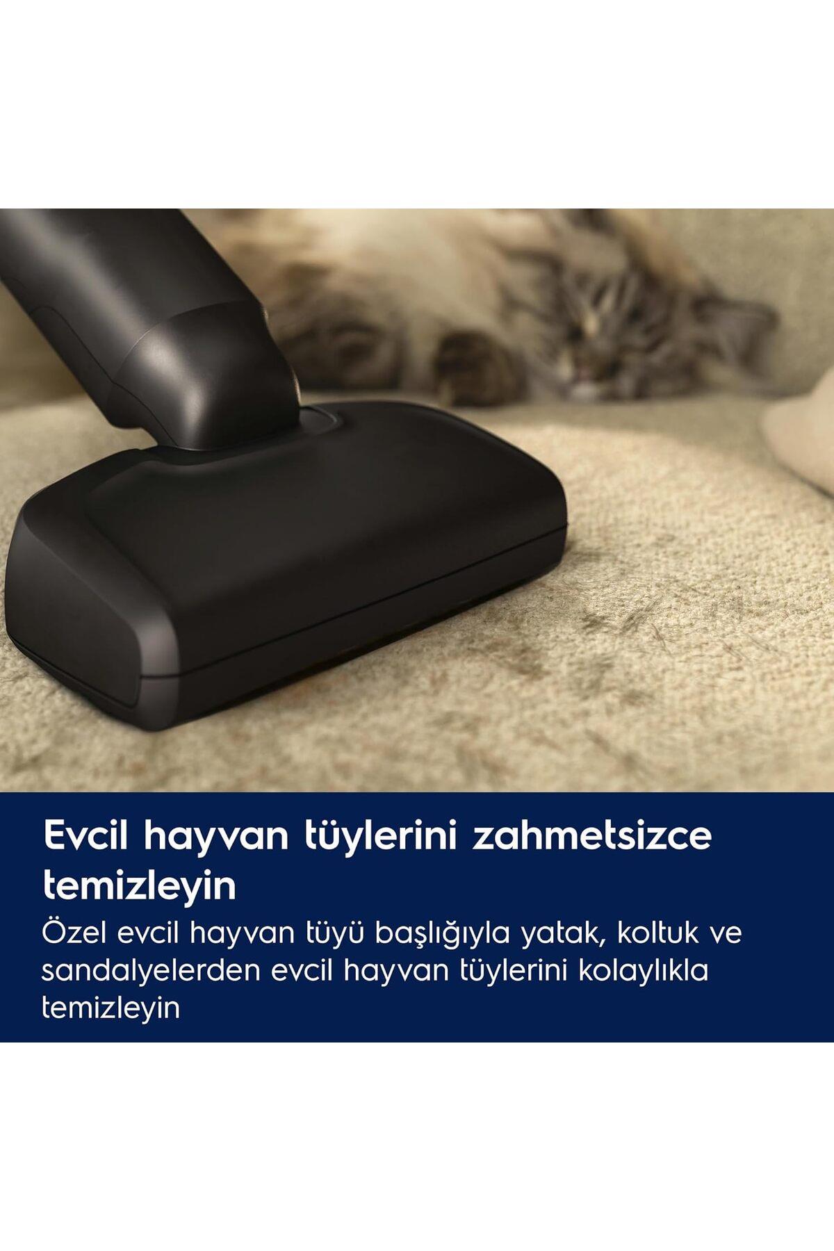 600 Serisi PetPro Başlıklı EP61AB21UG Dikey Şarjlı Dikey Süpürge