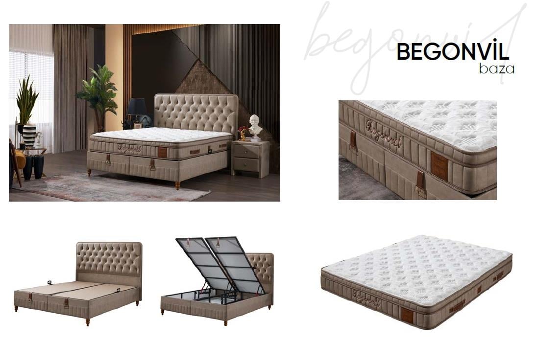 Begonvil