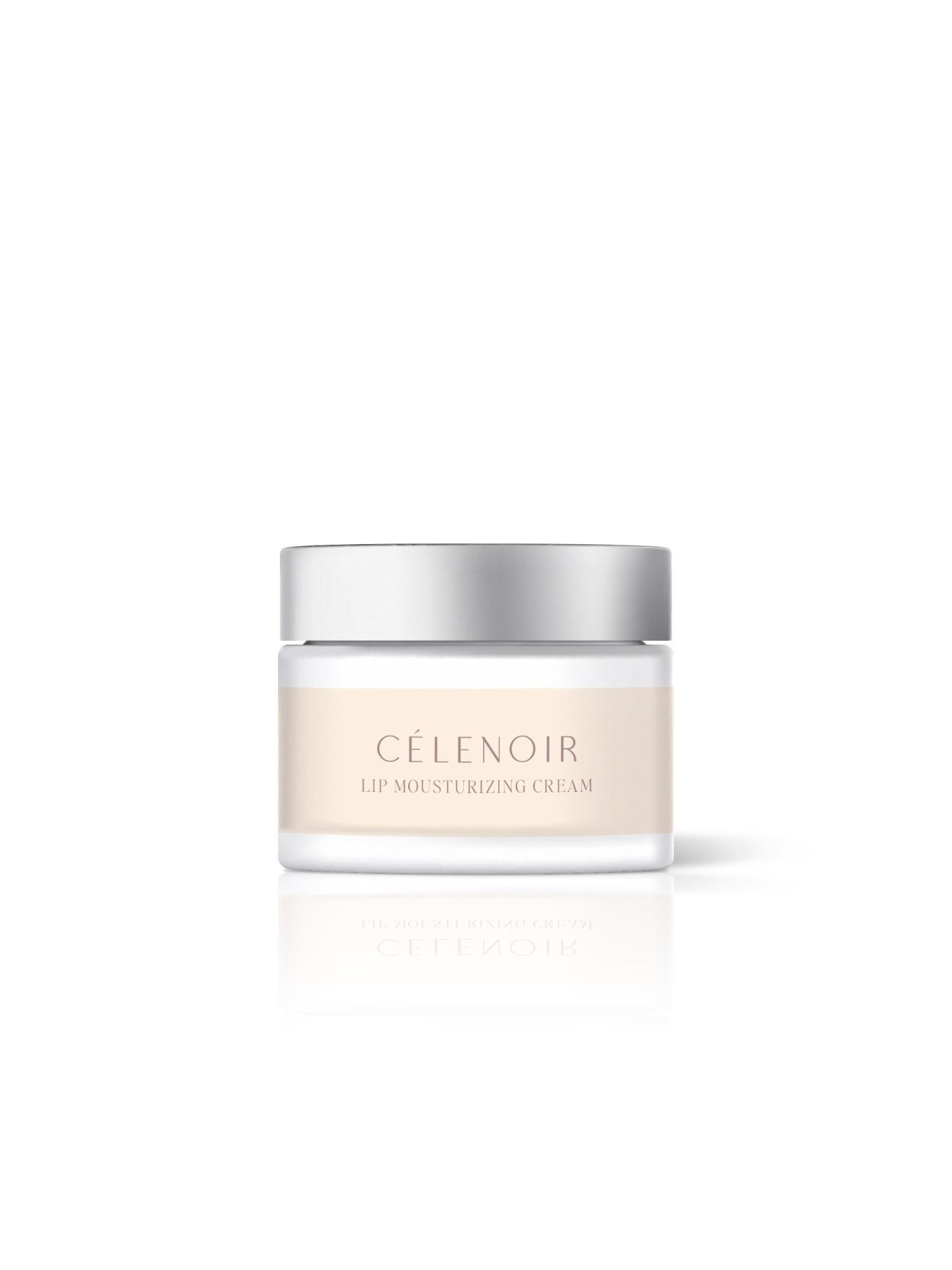 LIP MOISTURIZING CREAM (DUDAK NEMLENDİCİ KREMİ)