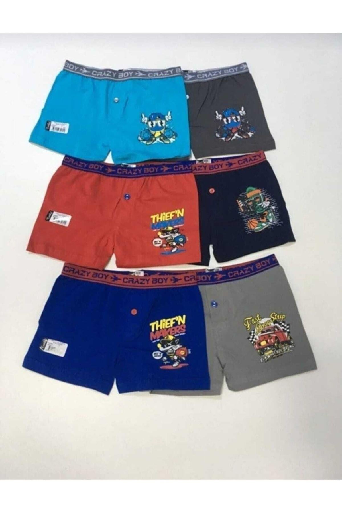 ERKEK ÇOCUK ELASTAN BASKILI BOXER 6'LI