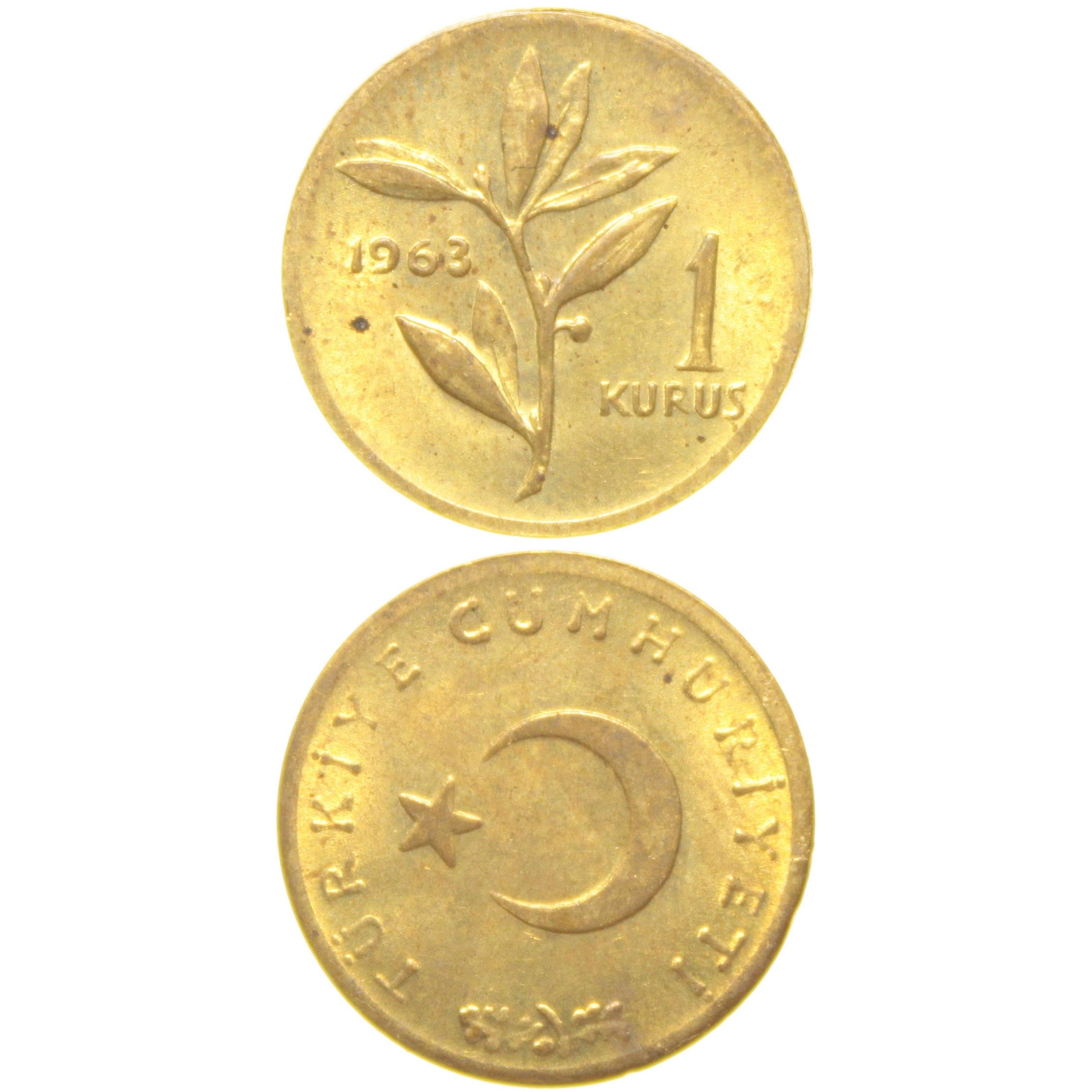 1 Kuruş - 1963  - ÇİL (TCM3)