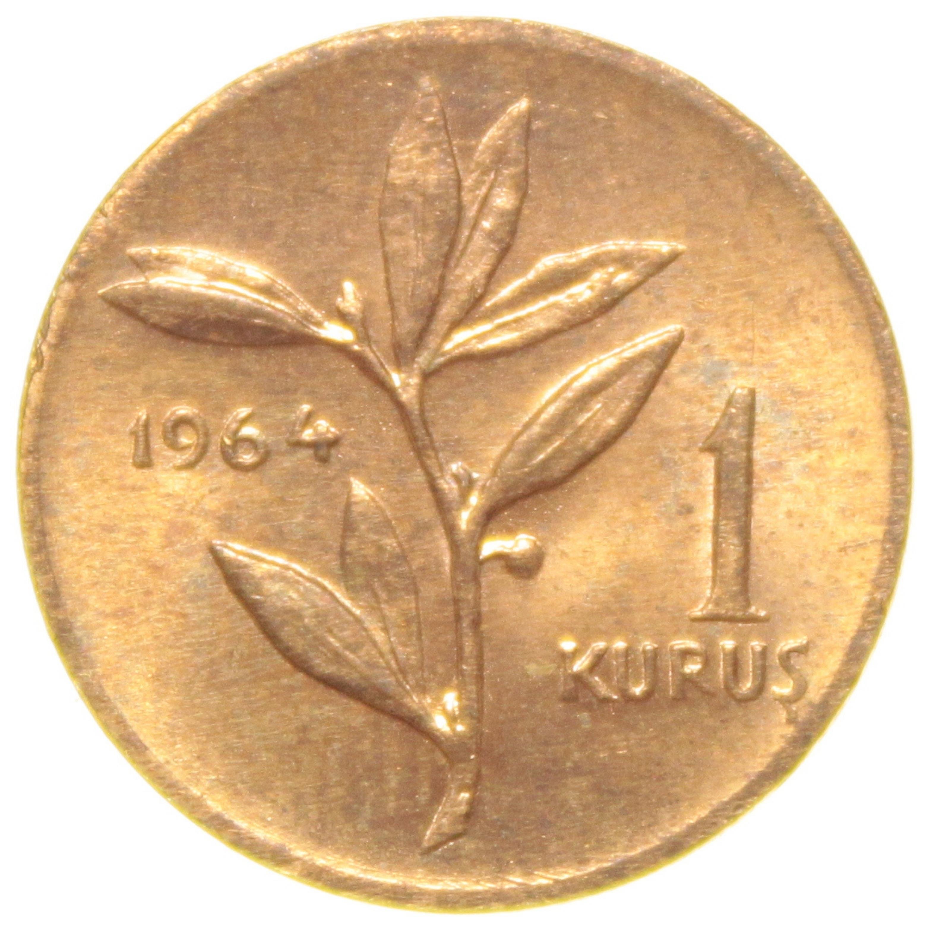 1 Kuruş - 1964  - ÇİL (TCM4)