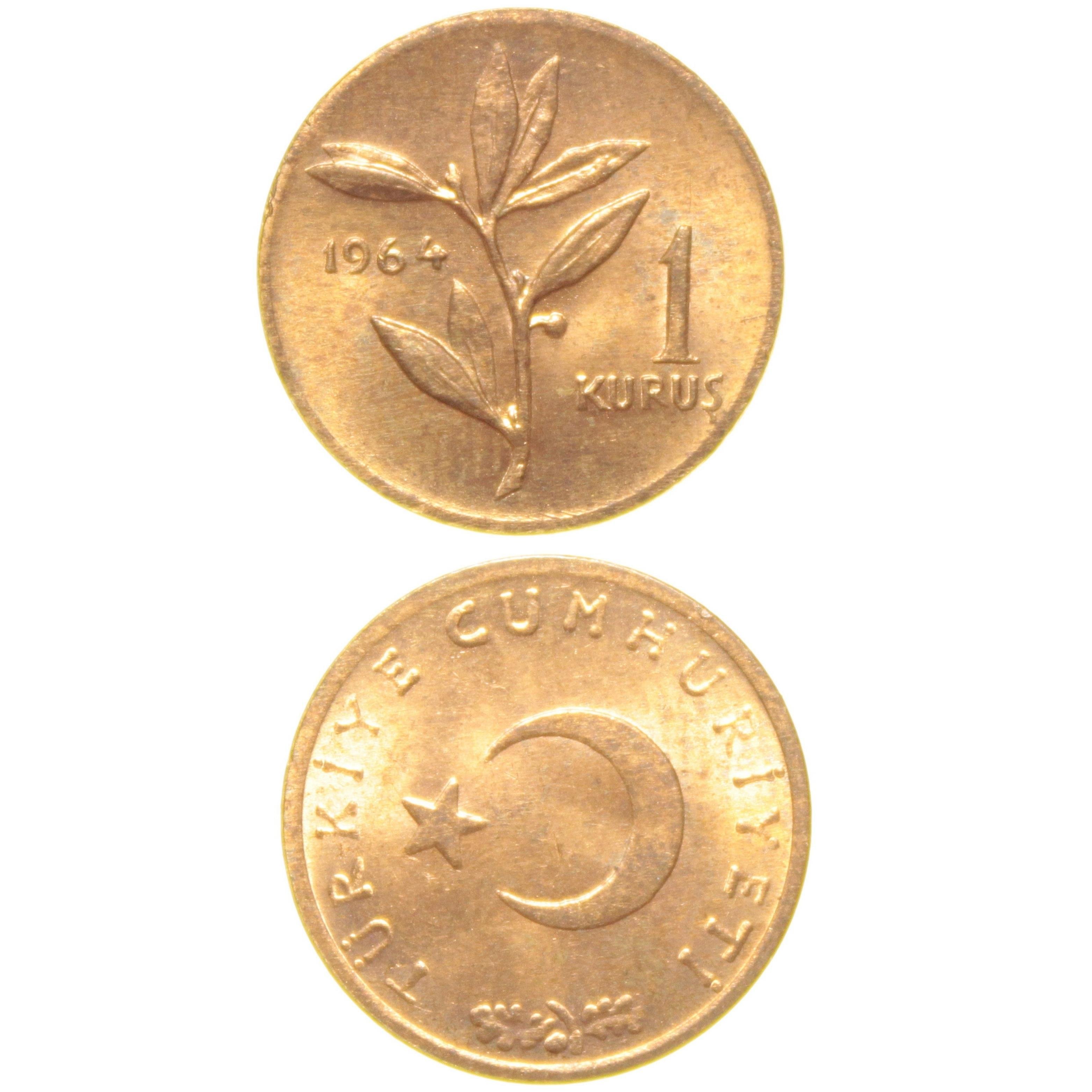 1 Kuruş - 1964  - ÇİL (TCM4)