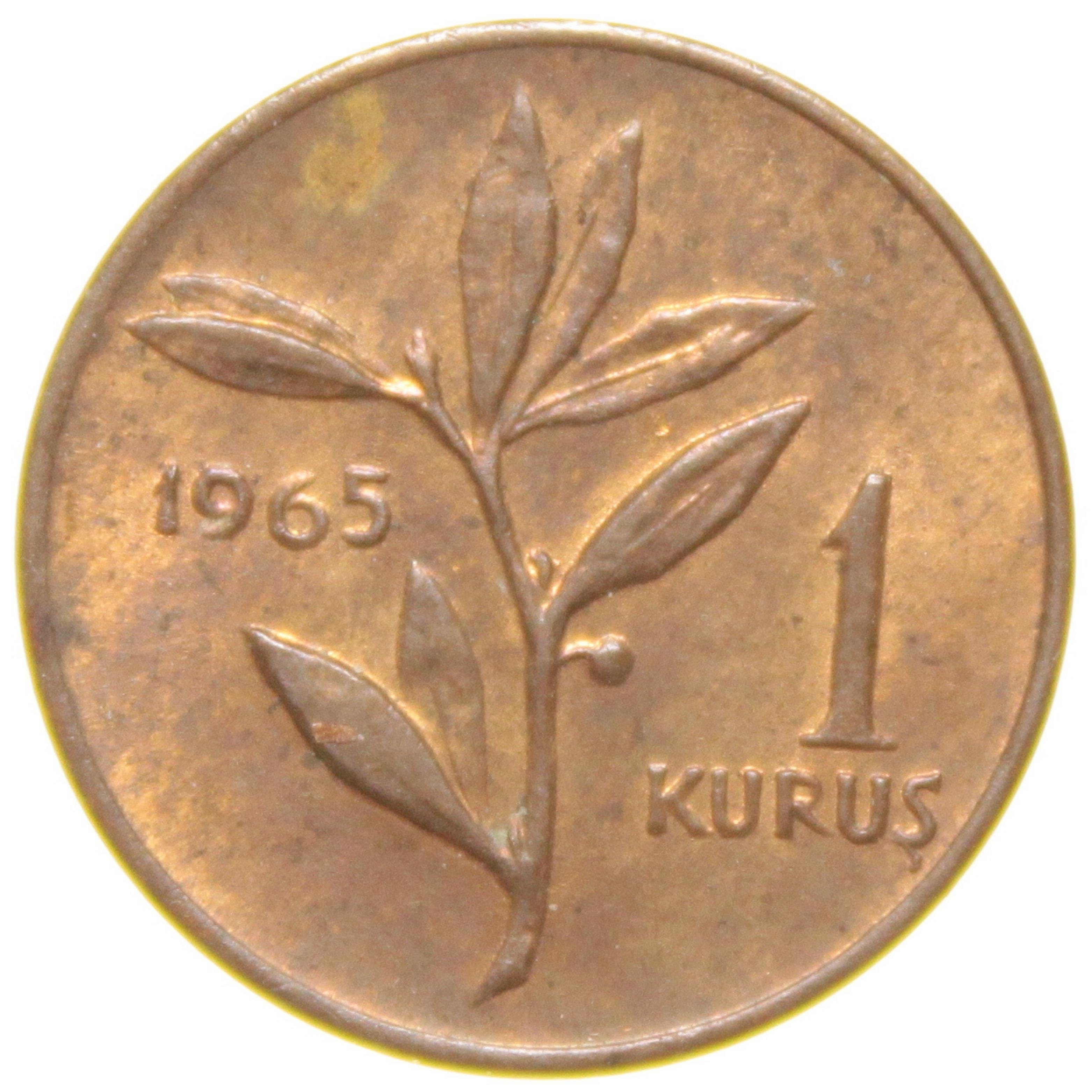 1 Kuruş - 1965  - ÇİL (TCM5)