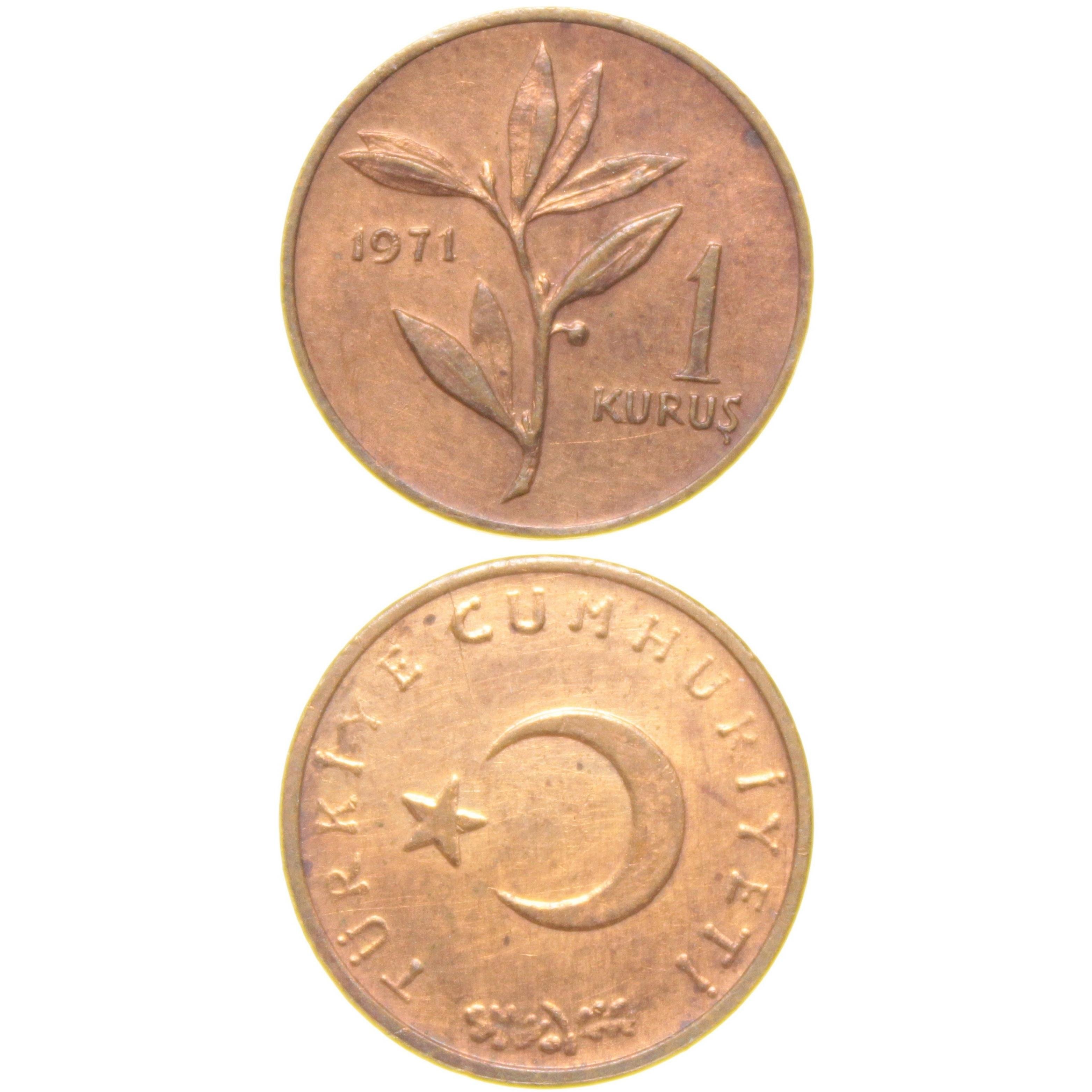 1 Kuruş - 1971  - ÇİL (TCM7)