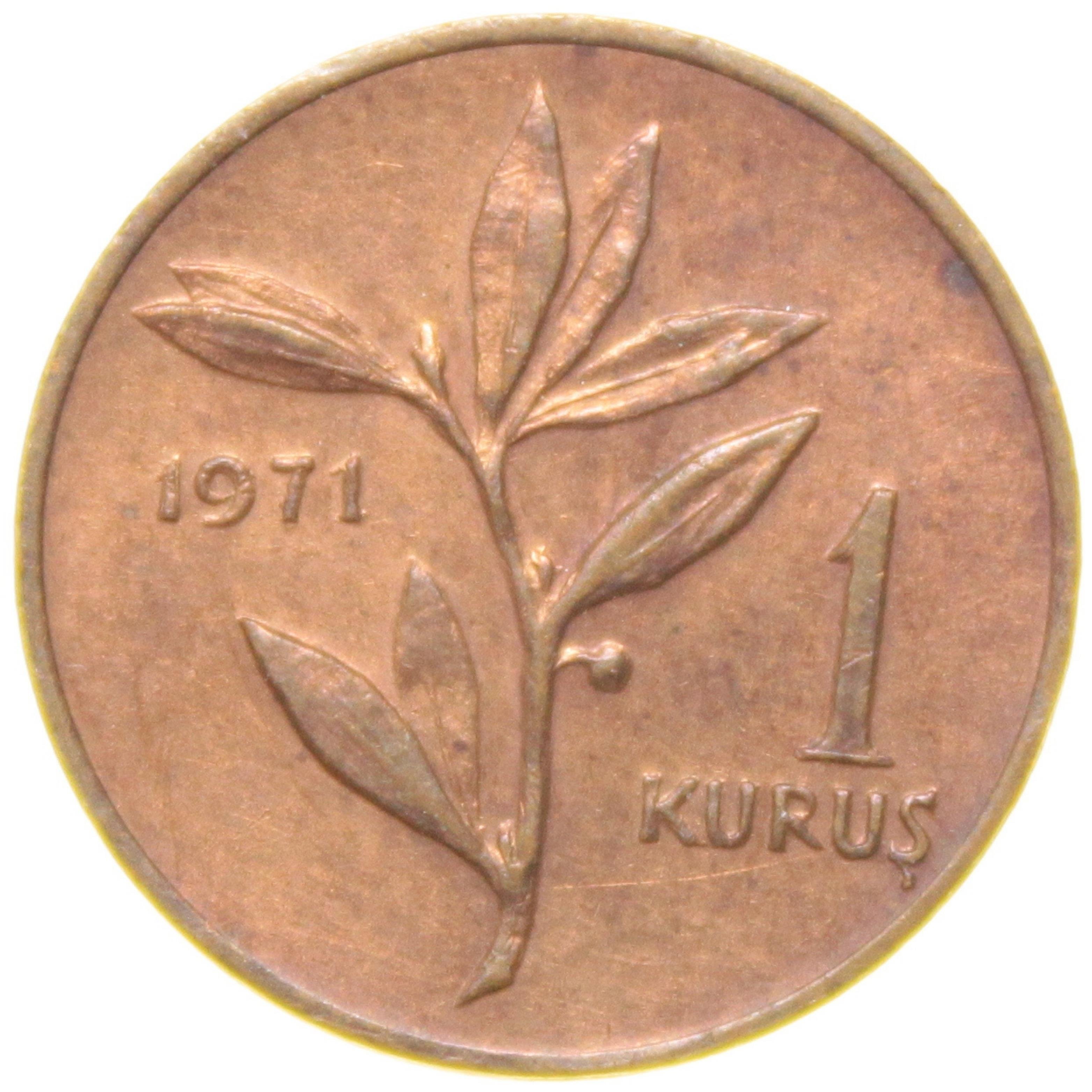 1 Kuruş - 1971  - ÇİL (TCM7)