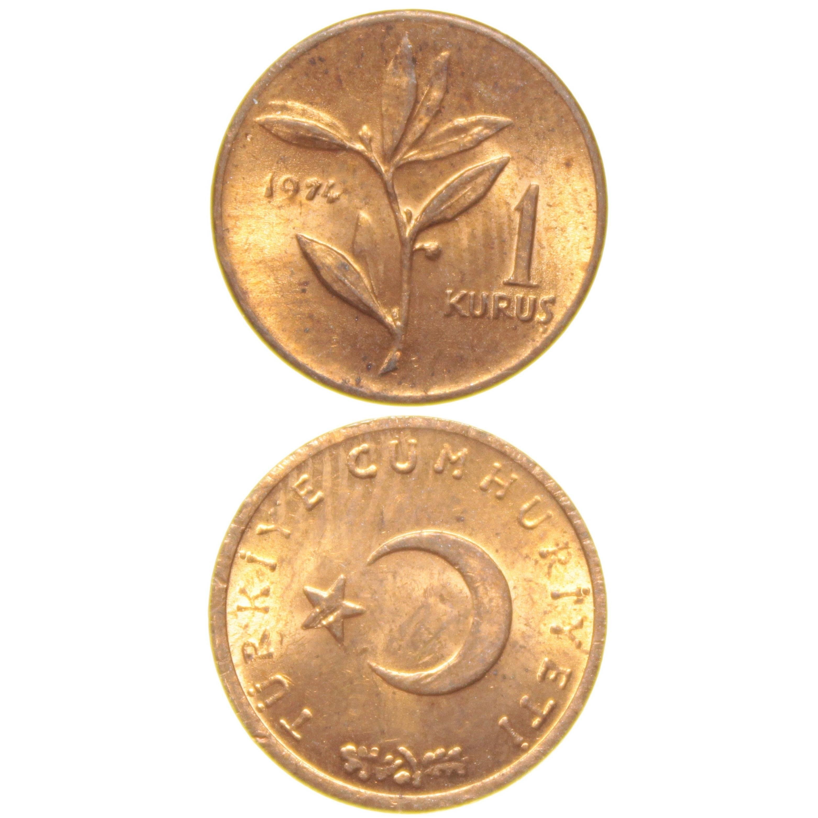 1 Kuruş - 1974  - ÇİL (TCM9)