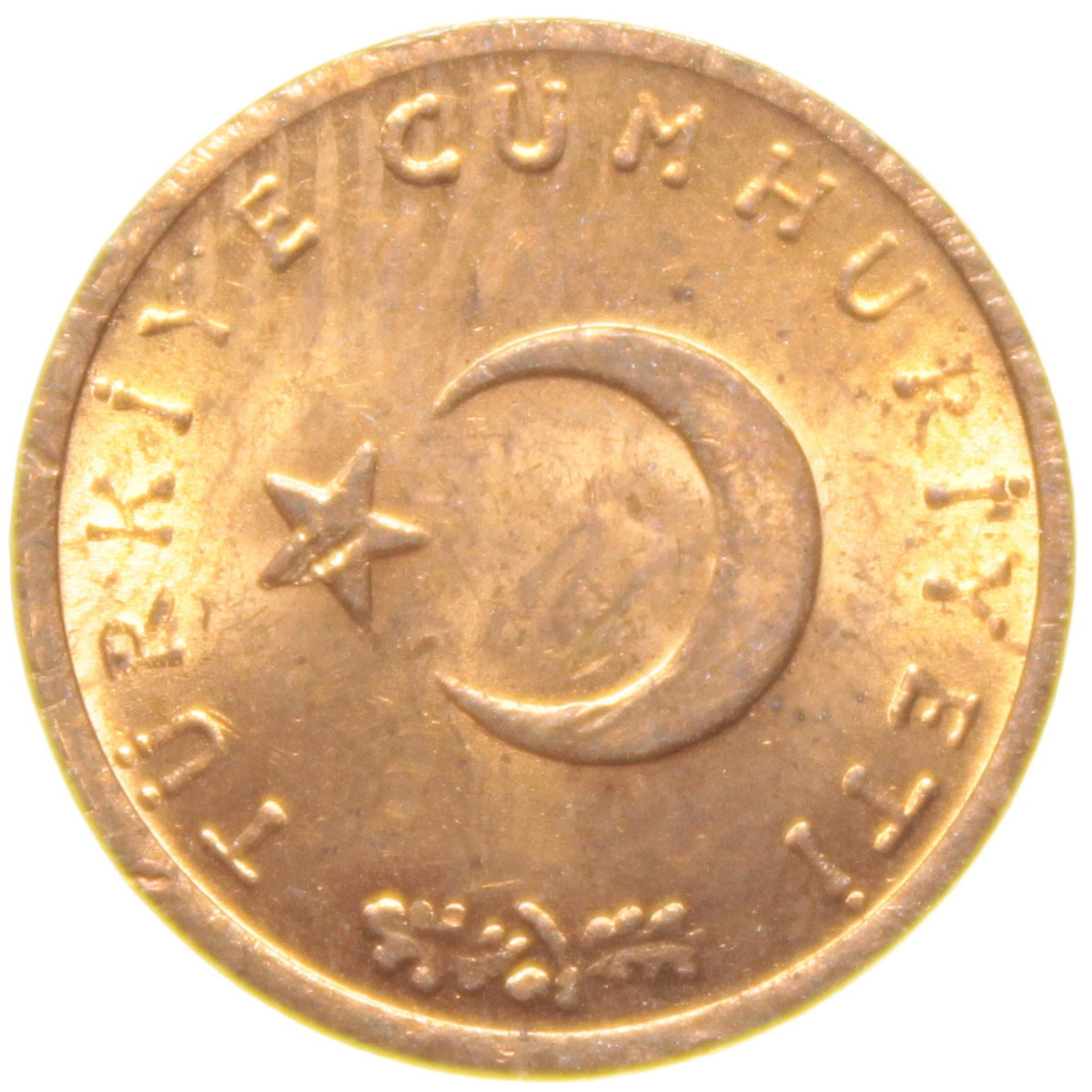 1 Kuruş - 1974  - ÇİL (TCM9)