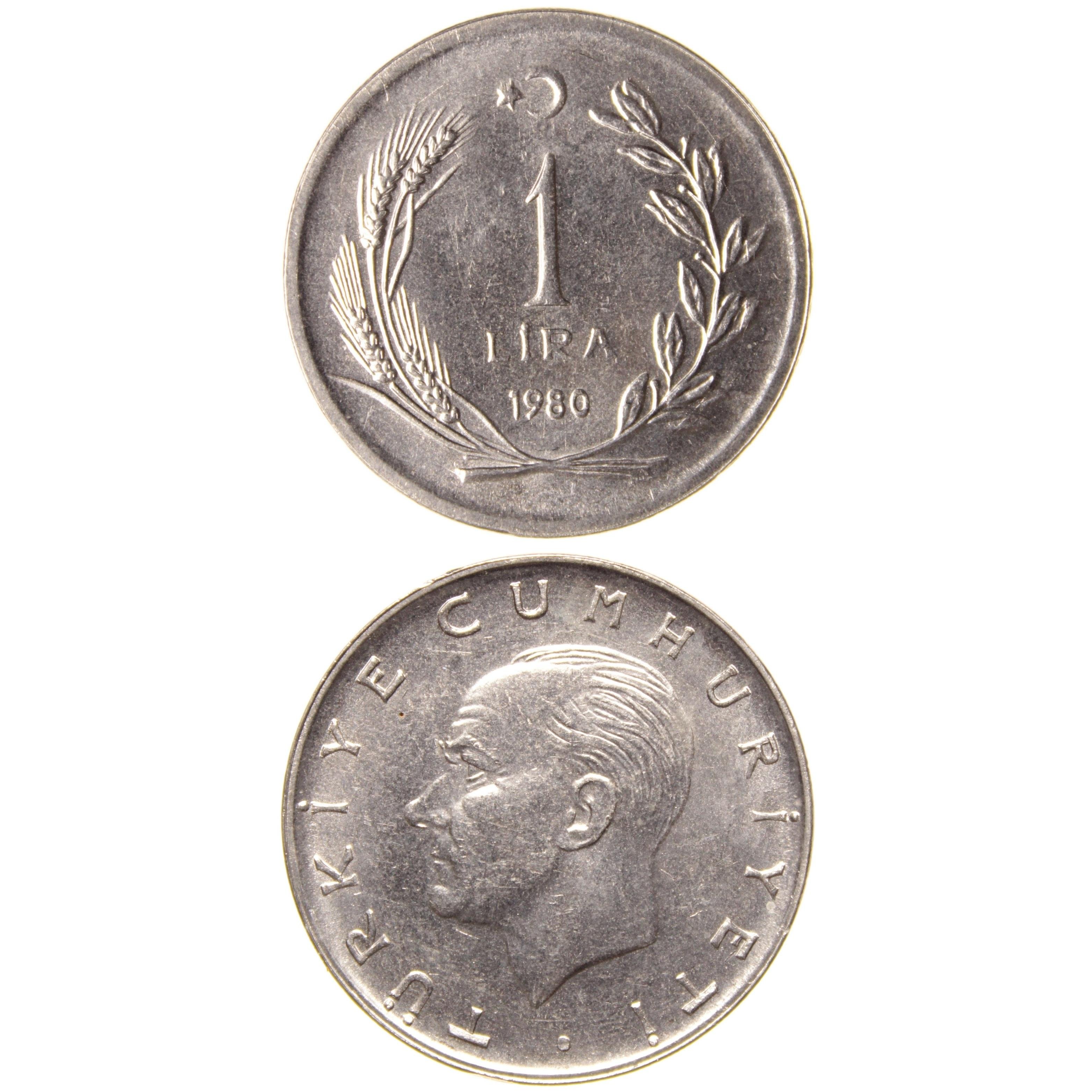 1 Lira - 1980  - ÇİL (TCM13)