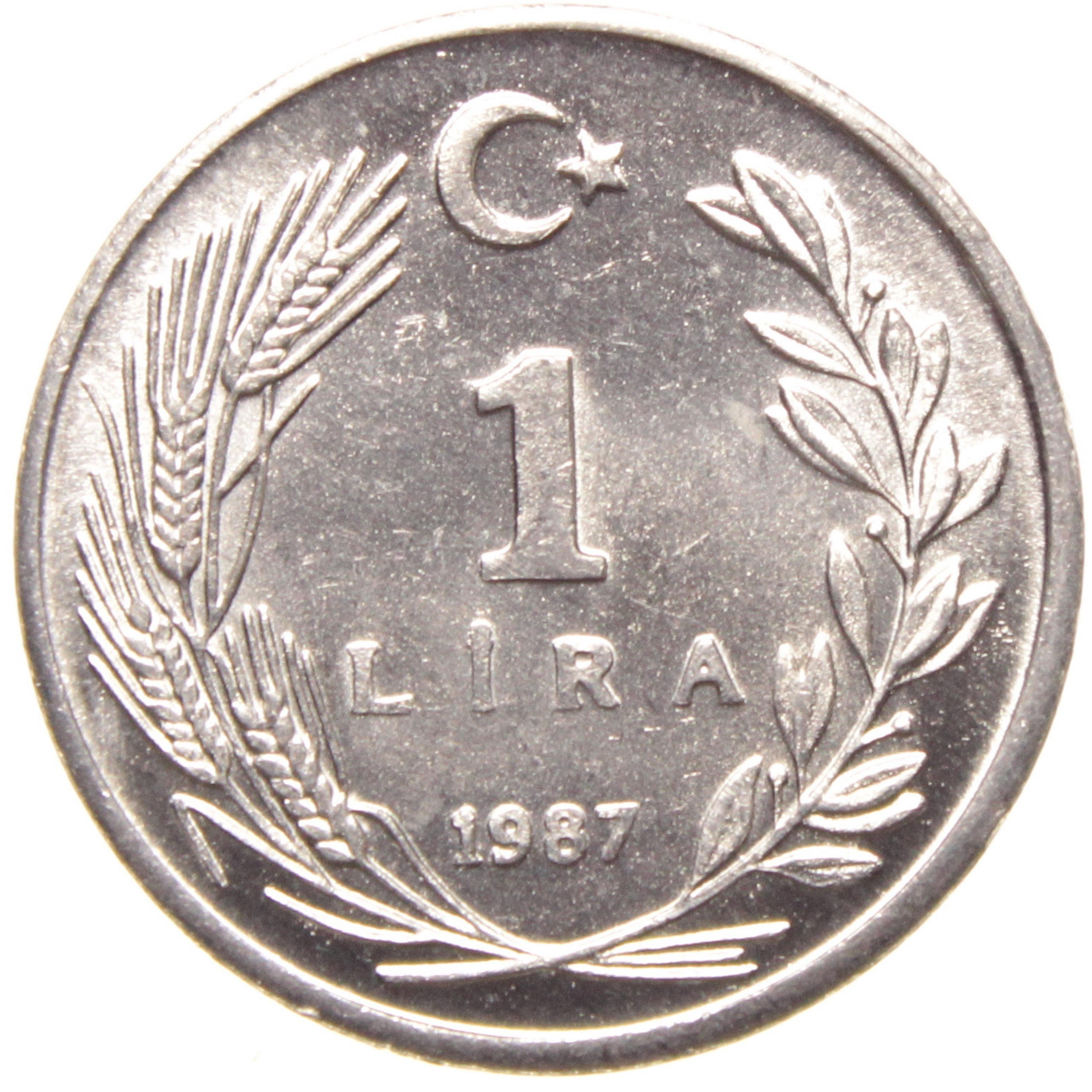 1 Lira - 1987  - ÇİL (TCM14)