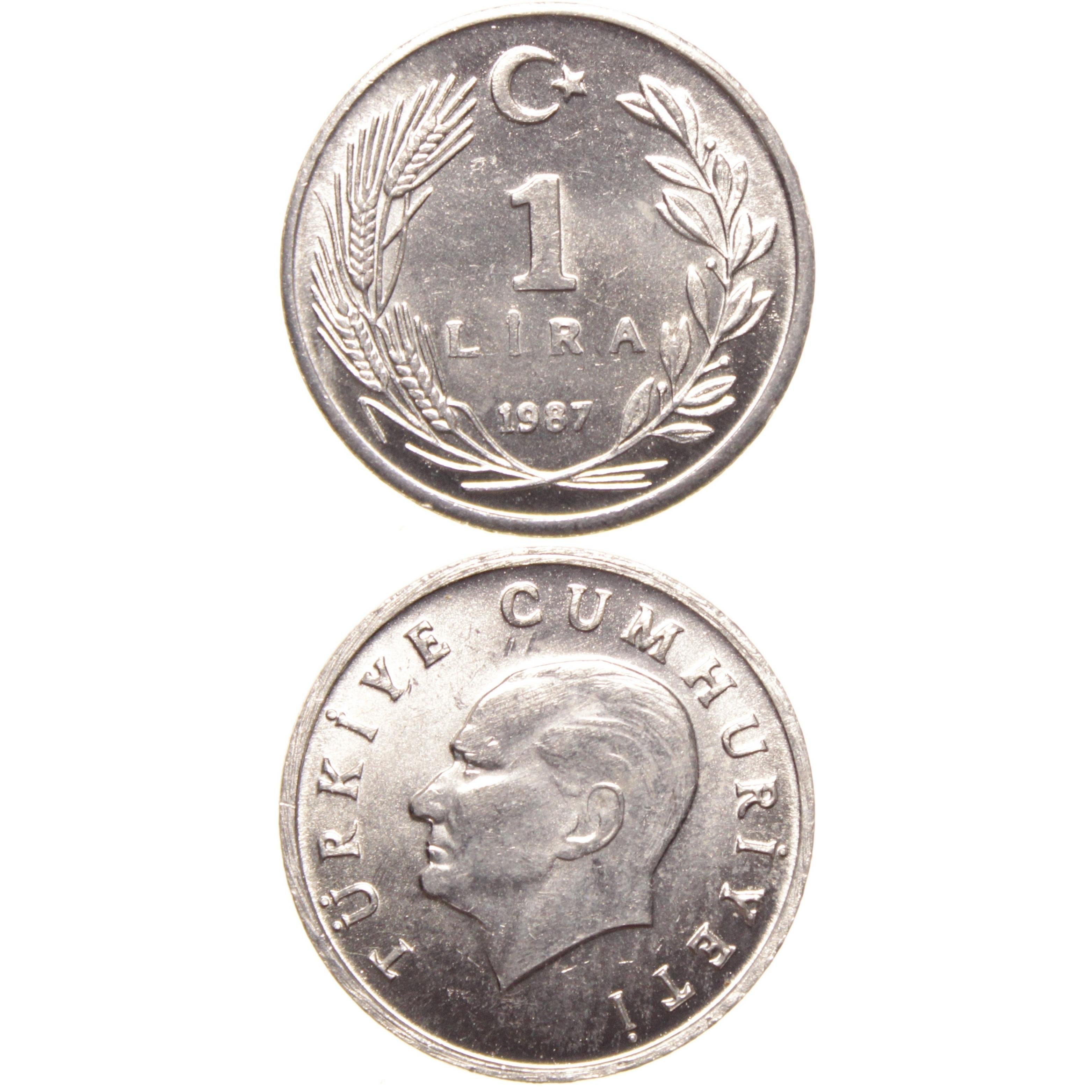 1 Lira - 1987  - ÇİL (TCM14)
