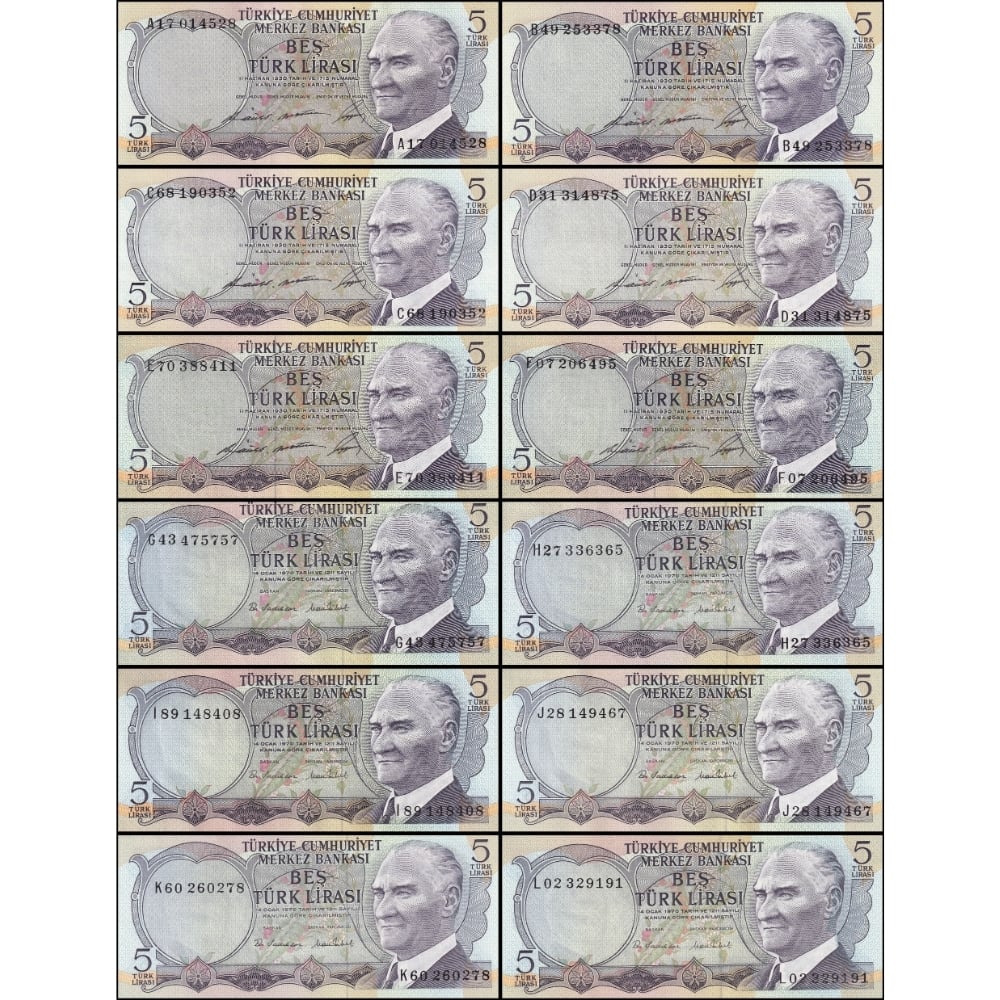 6. Emisyon Harf Takım 5 Lira - ÇİL - 12 Adet