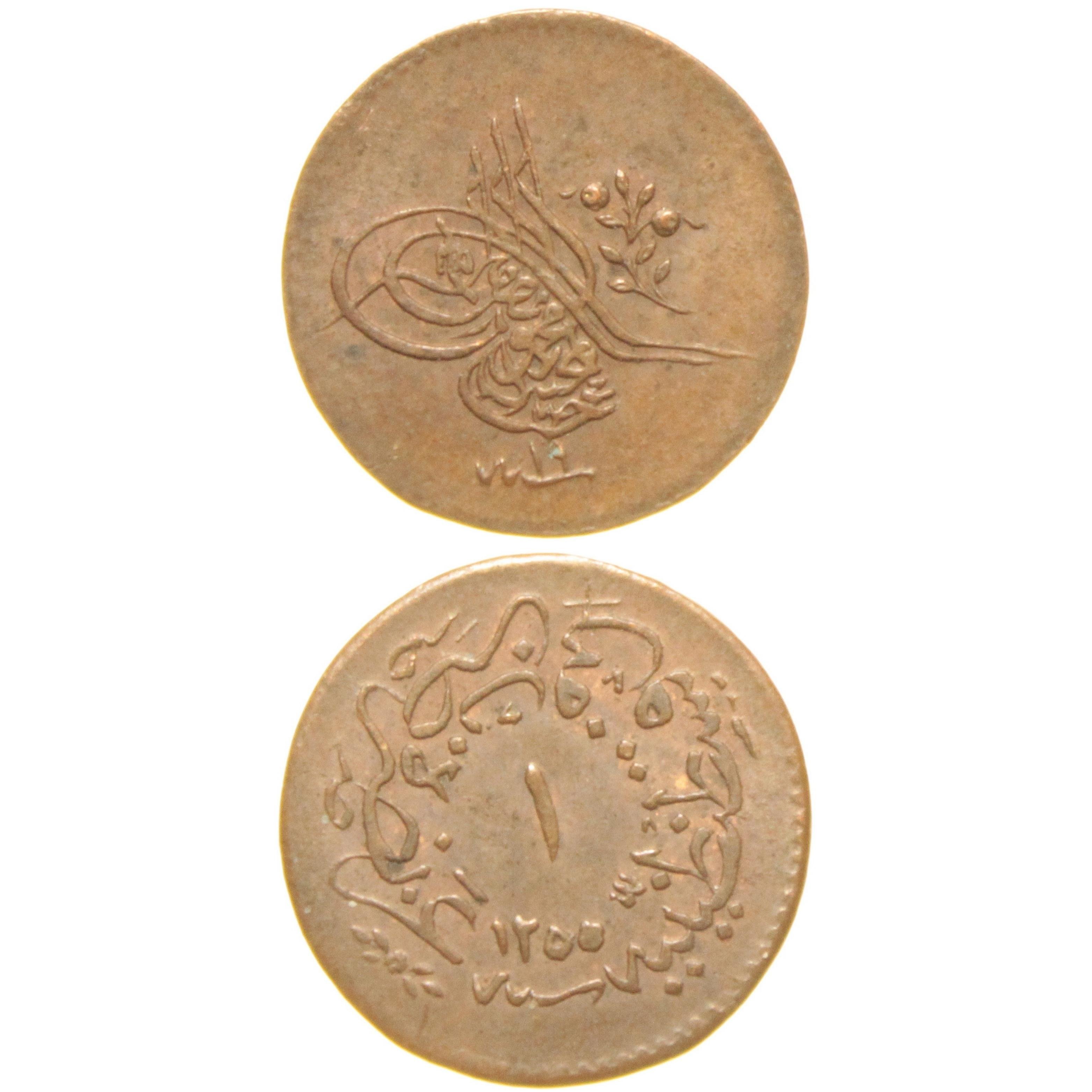 Sultan Abdülmecid 1255/19 Bakır 1 Para - Çil Altı - ÇA