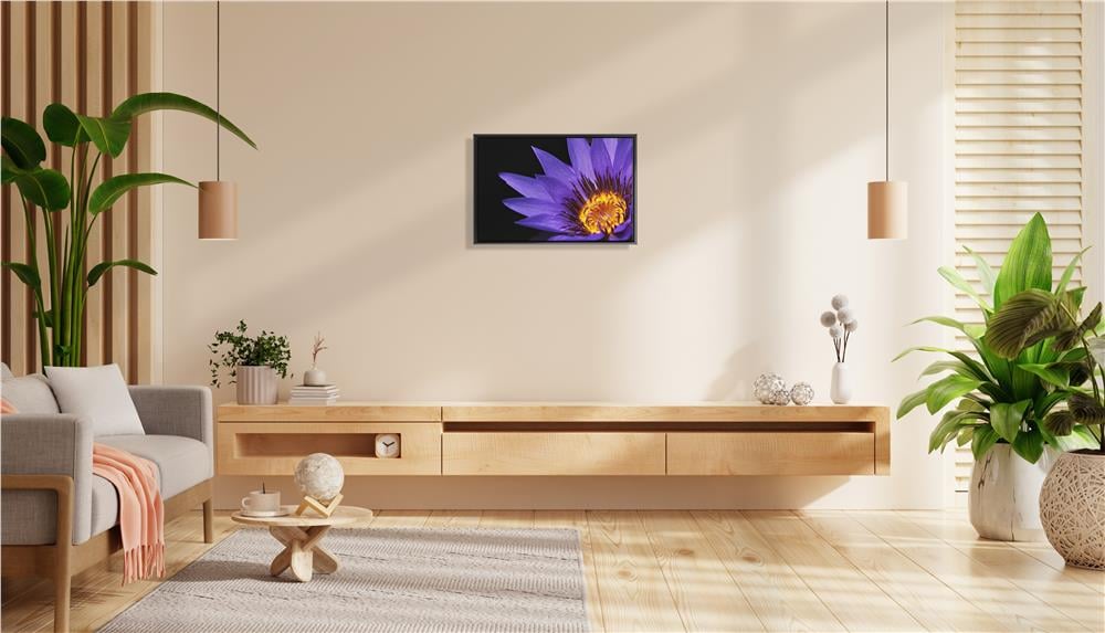 Mor Nilüferin Alevi