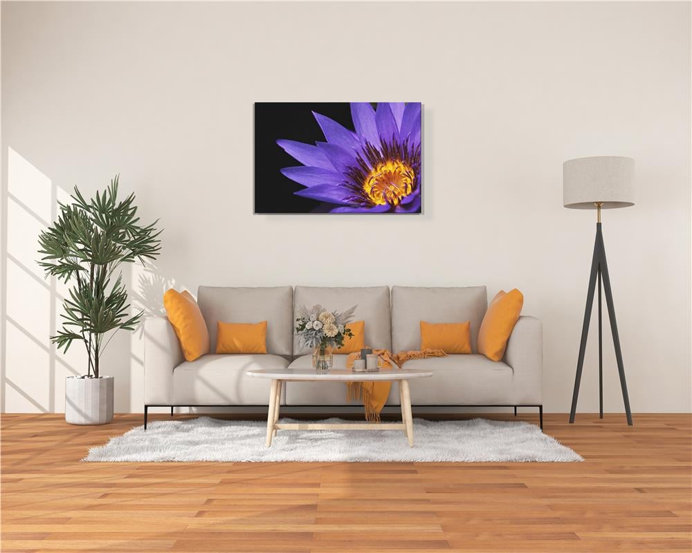 Mor Nilüferin Alevi