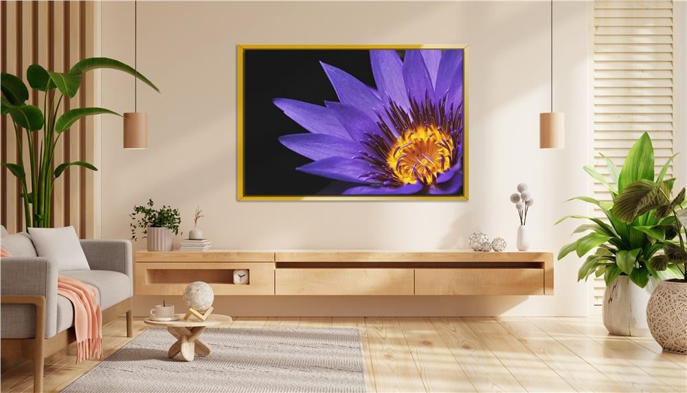 Mor Nilüferin Alevi