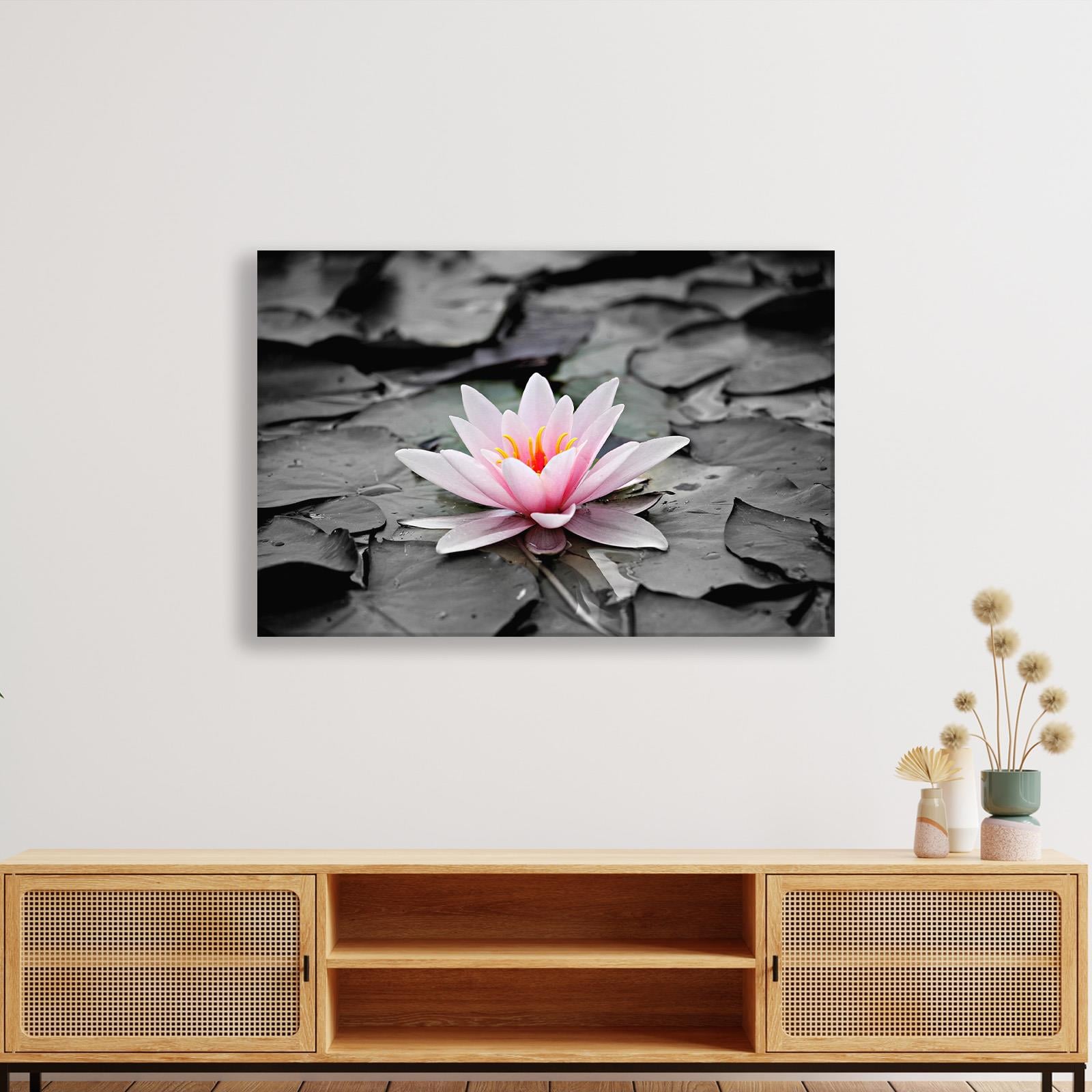 Siyah Suda Doğan Pembe Nilüfer