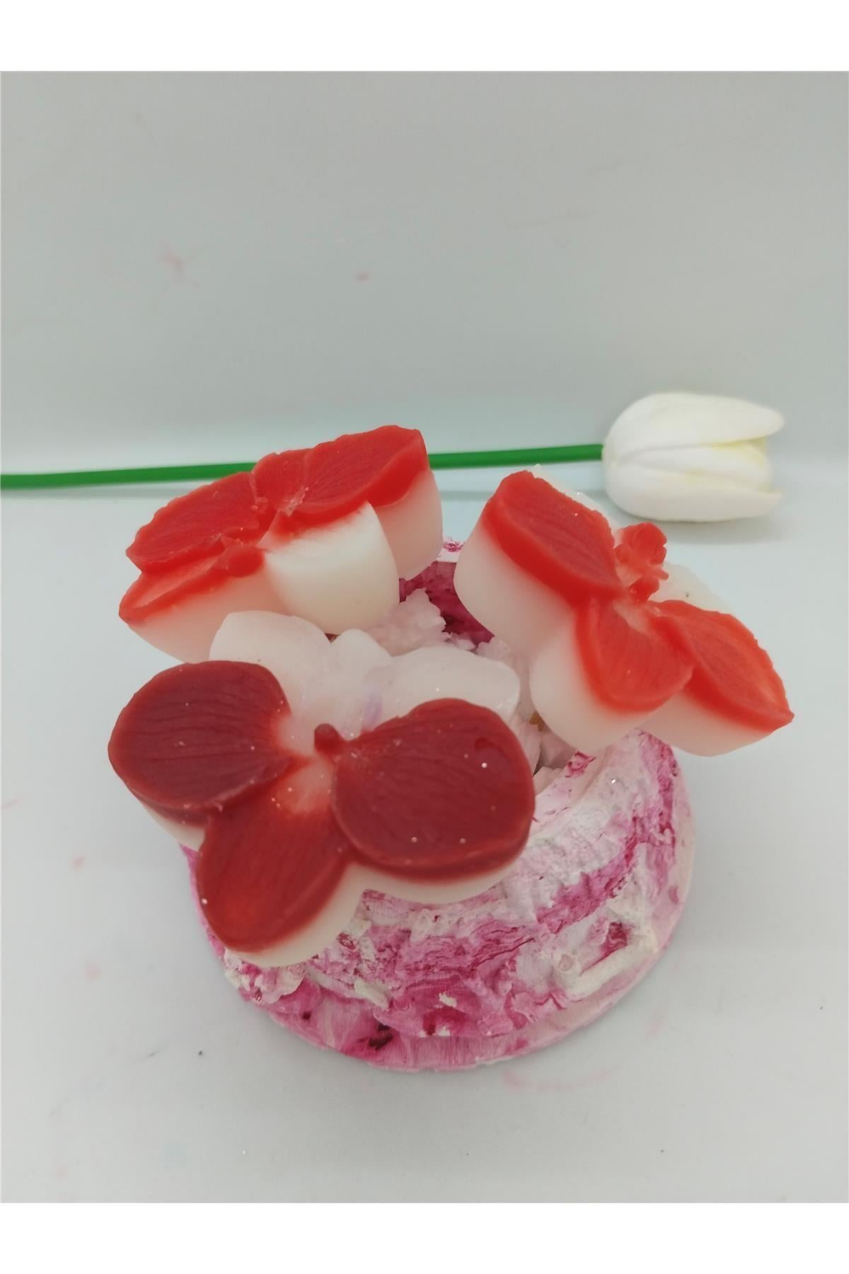 pembe-beyaz-saksi-e313eb.jpg