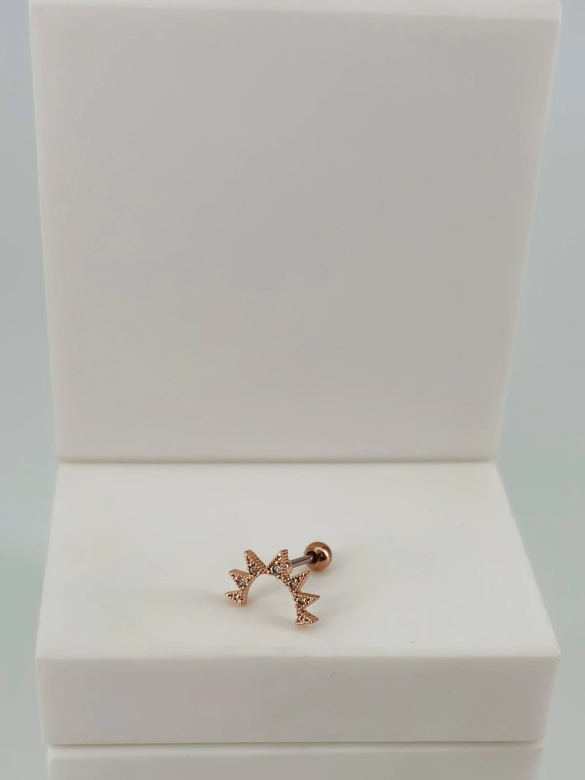 Tragus Kıkırdak Küpesi