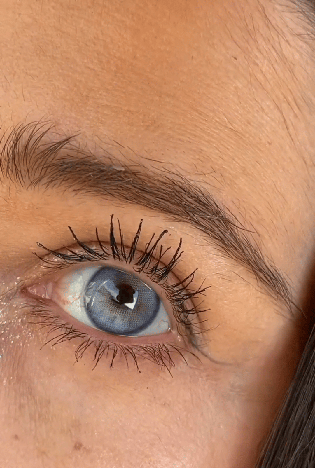Lensamor, Violet Mavi Lens